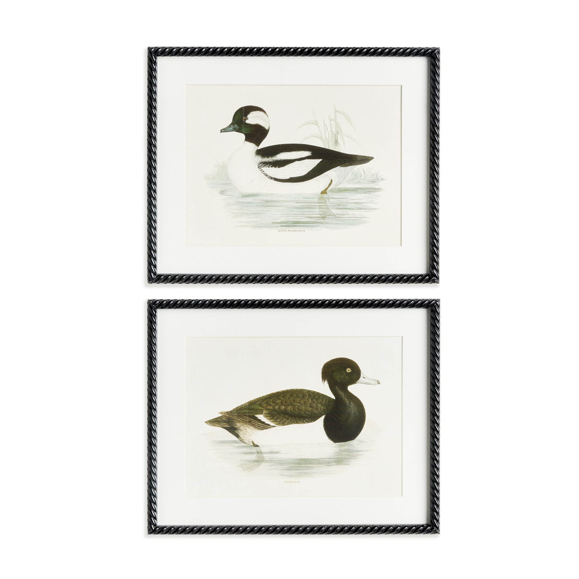 Duck Prints Set of 2