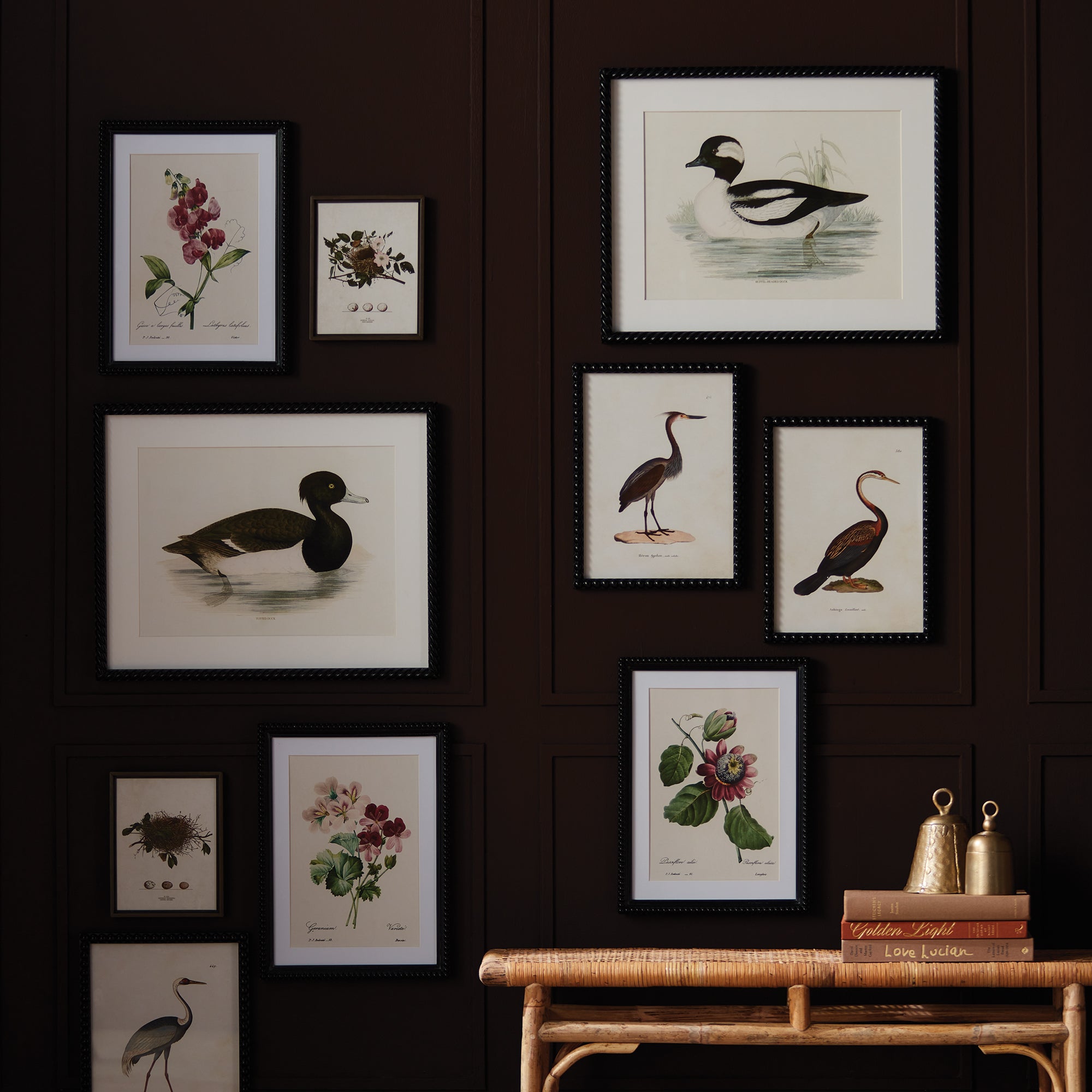 Duck Prints Set of 2