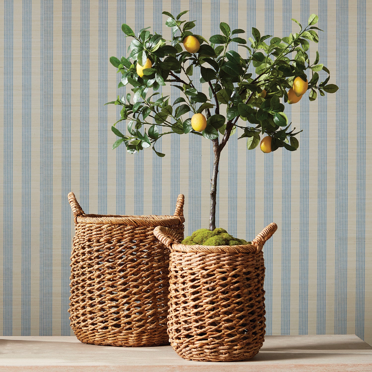 Camilla Banana Leaf Baskets w/ Handles, Set of 2