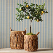 Camilla Banana Leaf Baskets w/ Handles, Set of 2