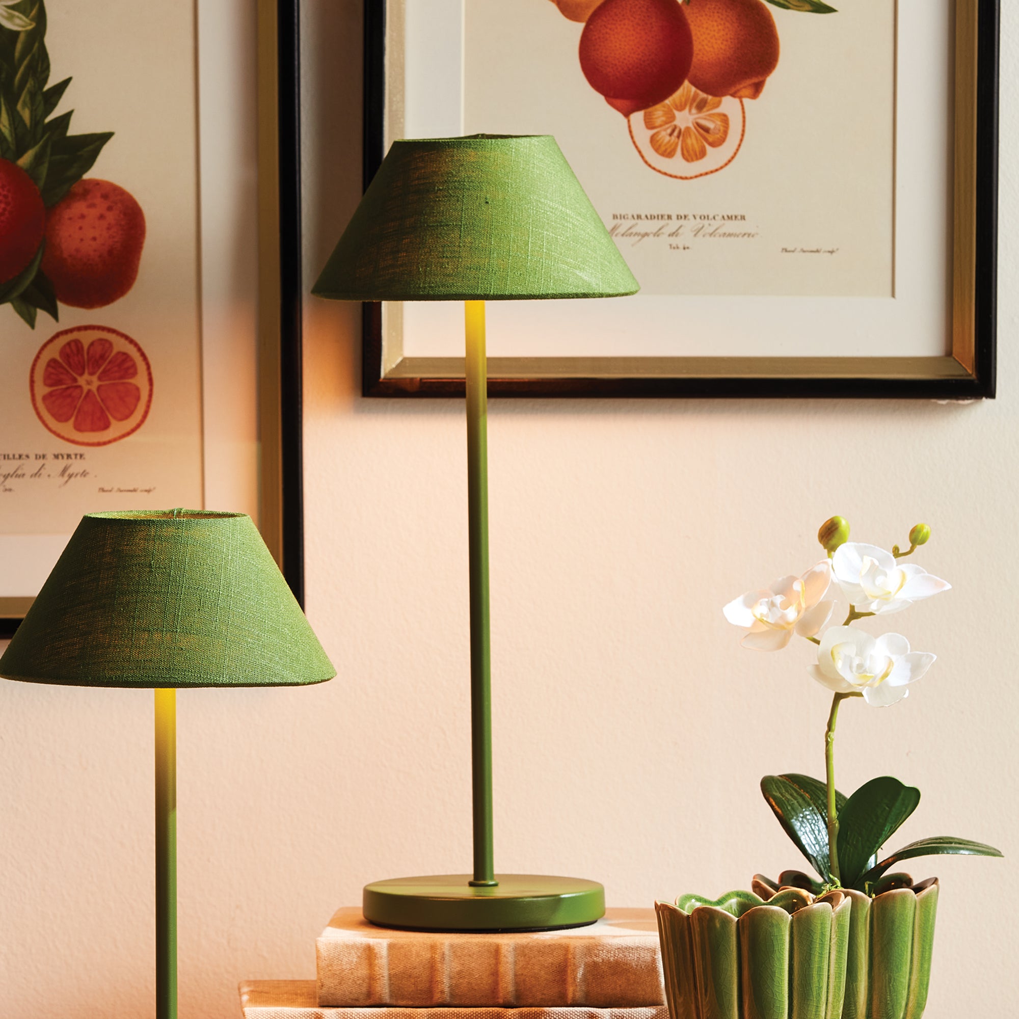 Levi Cordless Led Lamp