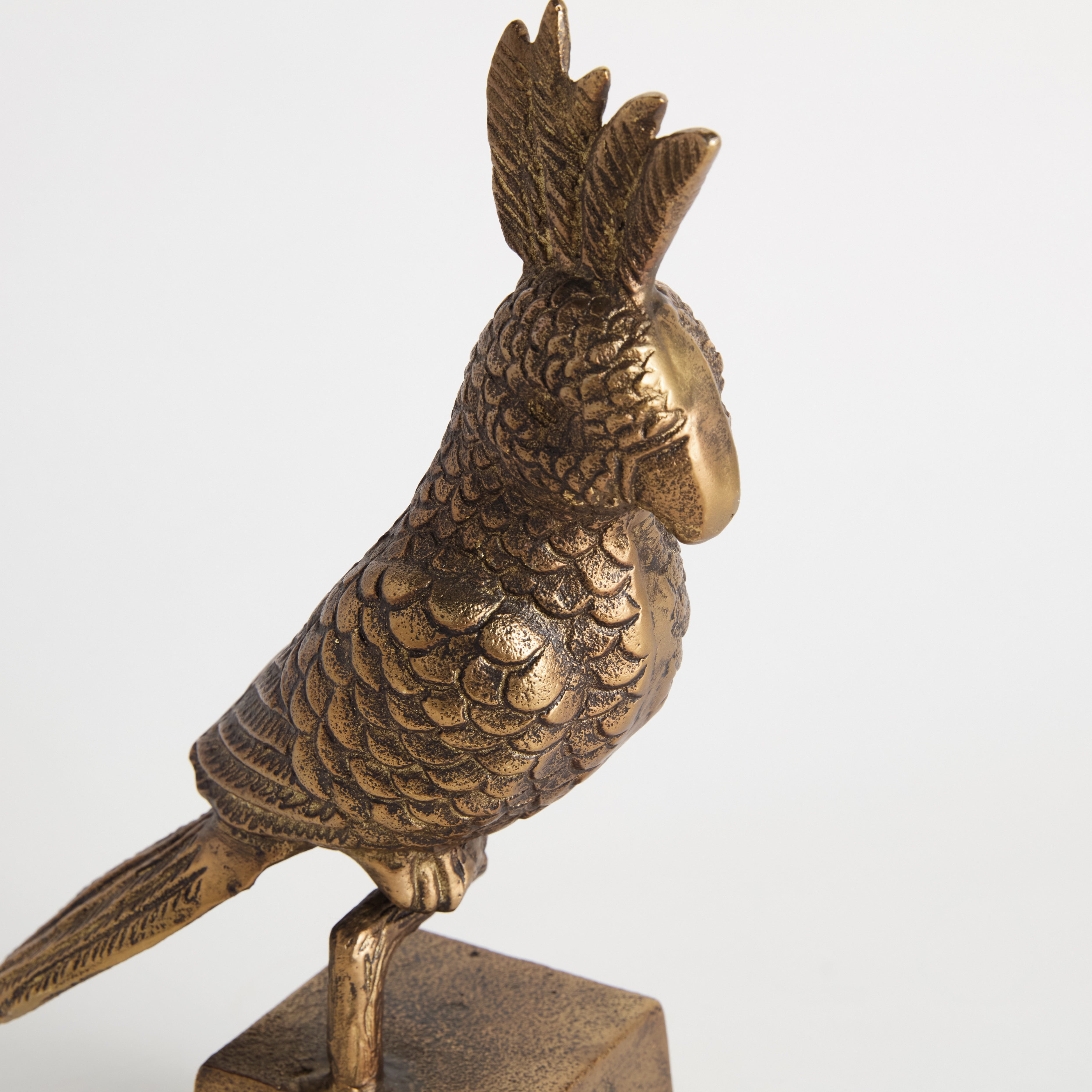 Brass Parrot Sculpture, Set of 2