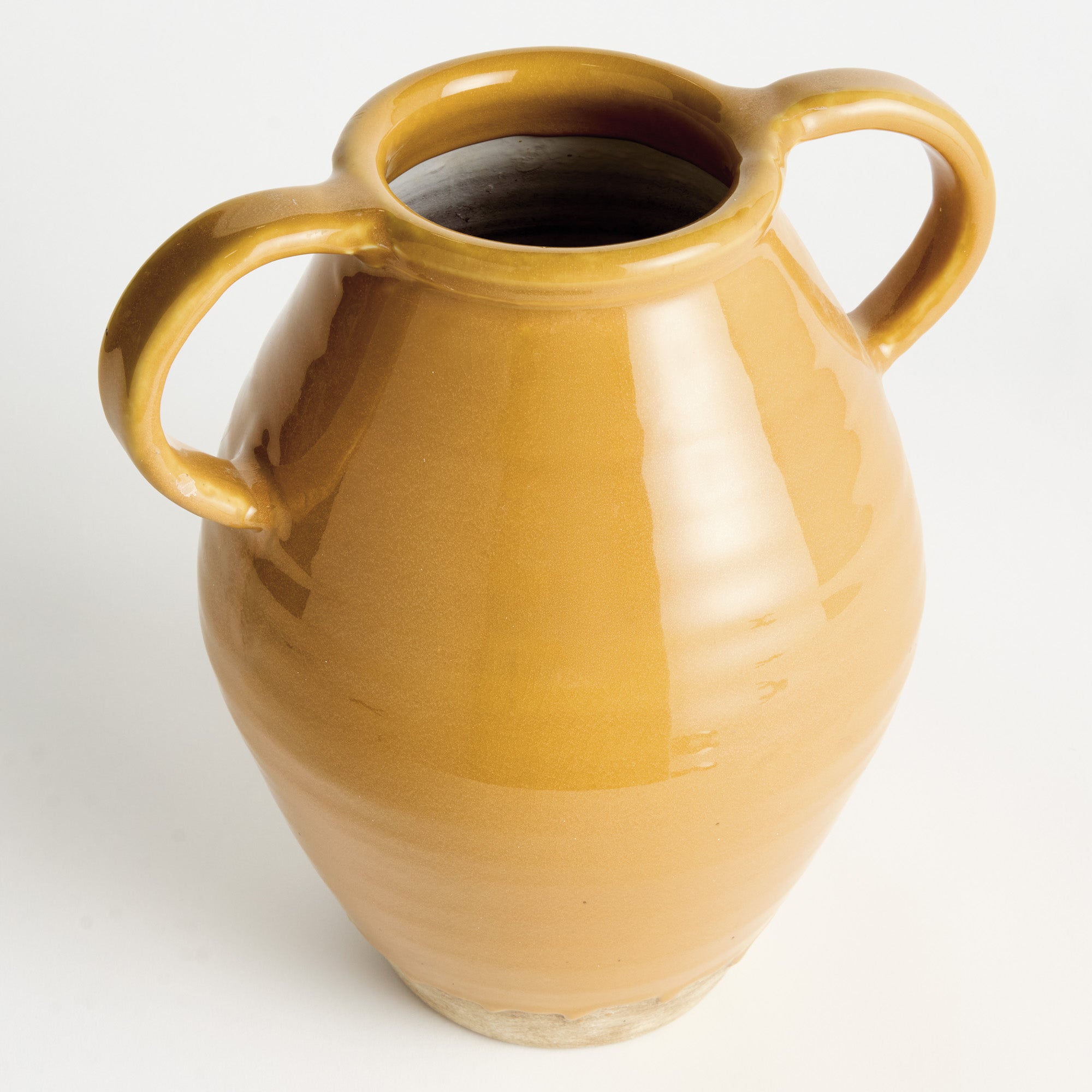 Mavi Vase with Handles Small
