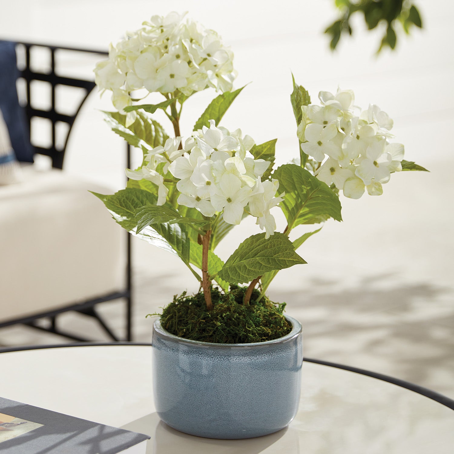 Aileen Pots, Set of 3