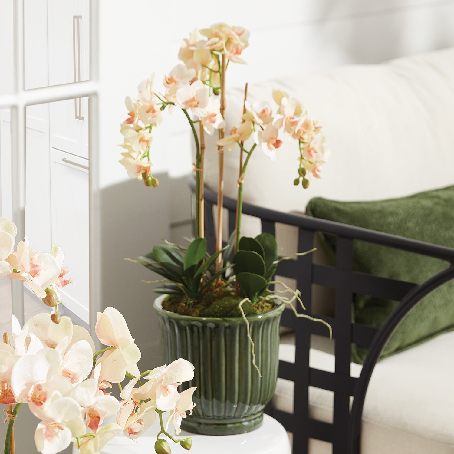 Molly Pots, Set of 3