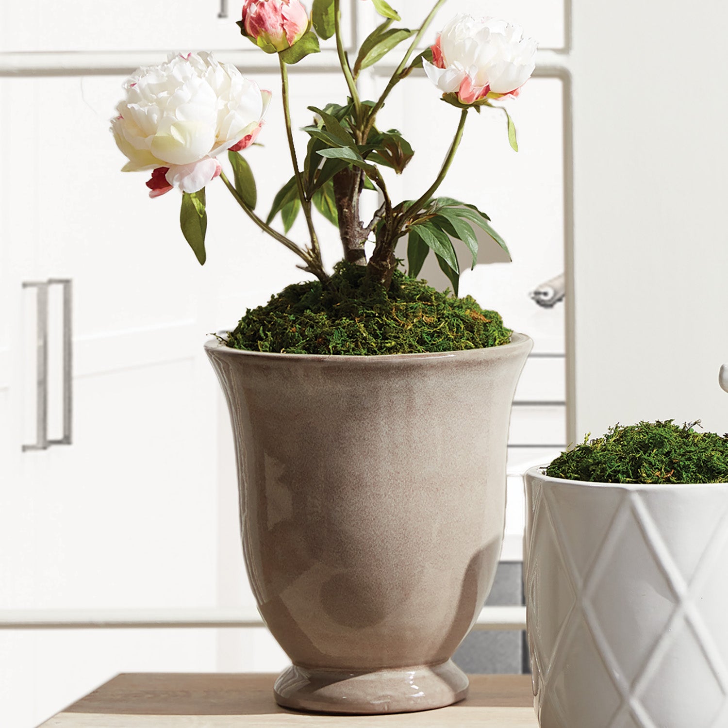 Emerson Pots, Set of 2