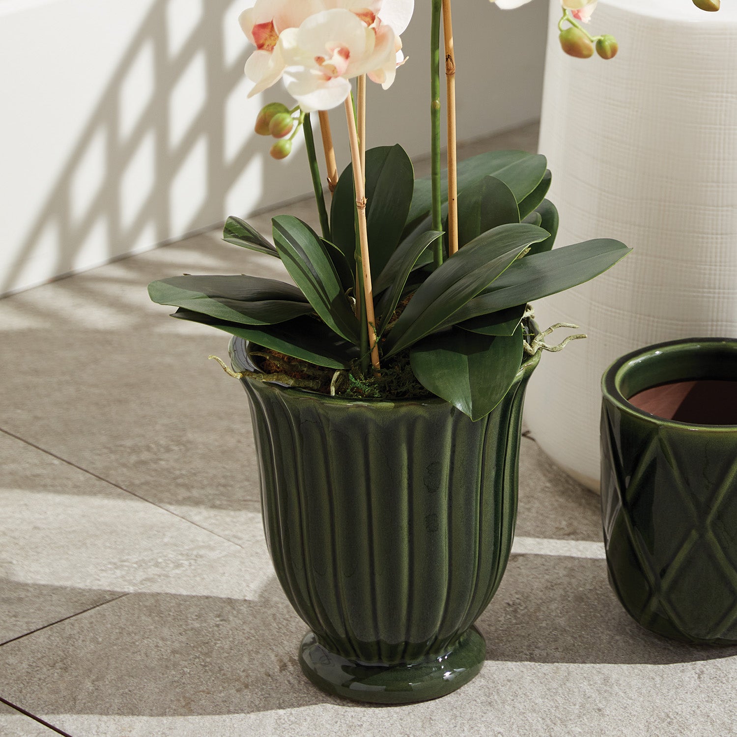 Caitlyn Pots, Set of 2