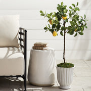 Caitlyn Pots, Set of 2