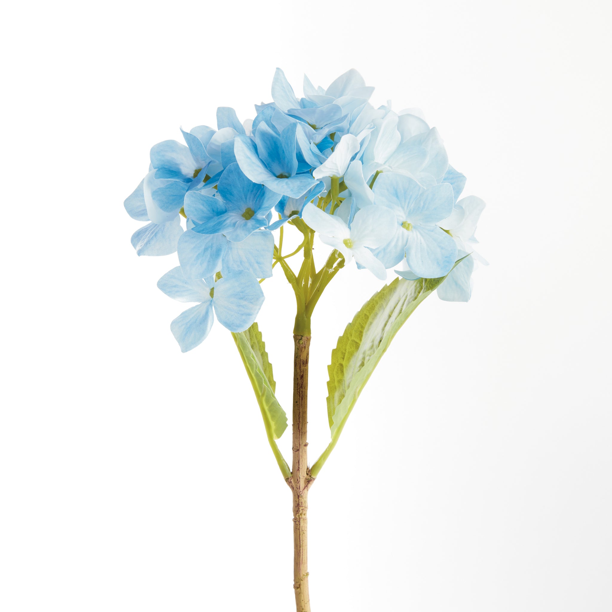 Hydrangea Stems, Set of 6