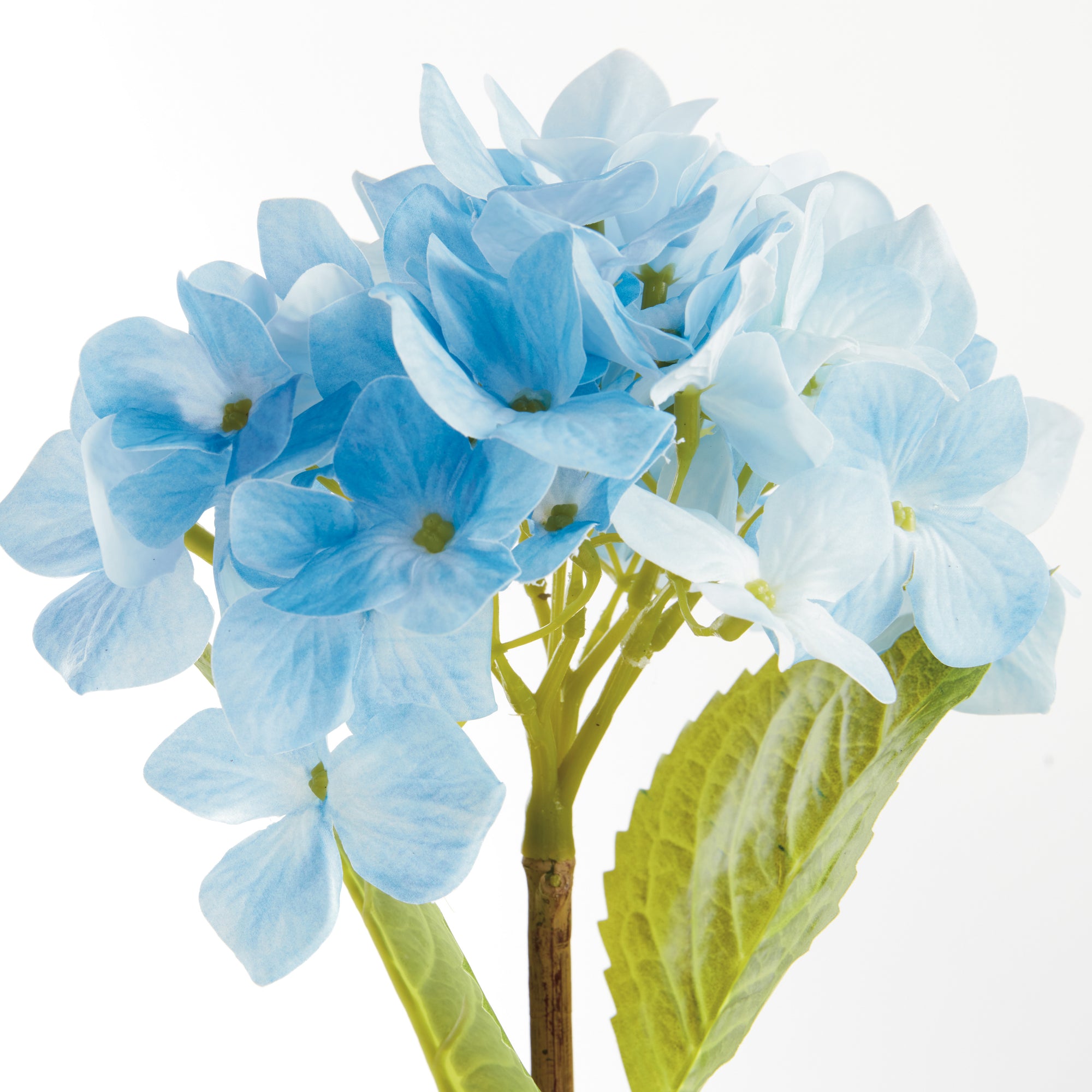 Hydrangea Stems, Set of 6