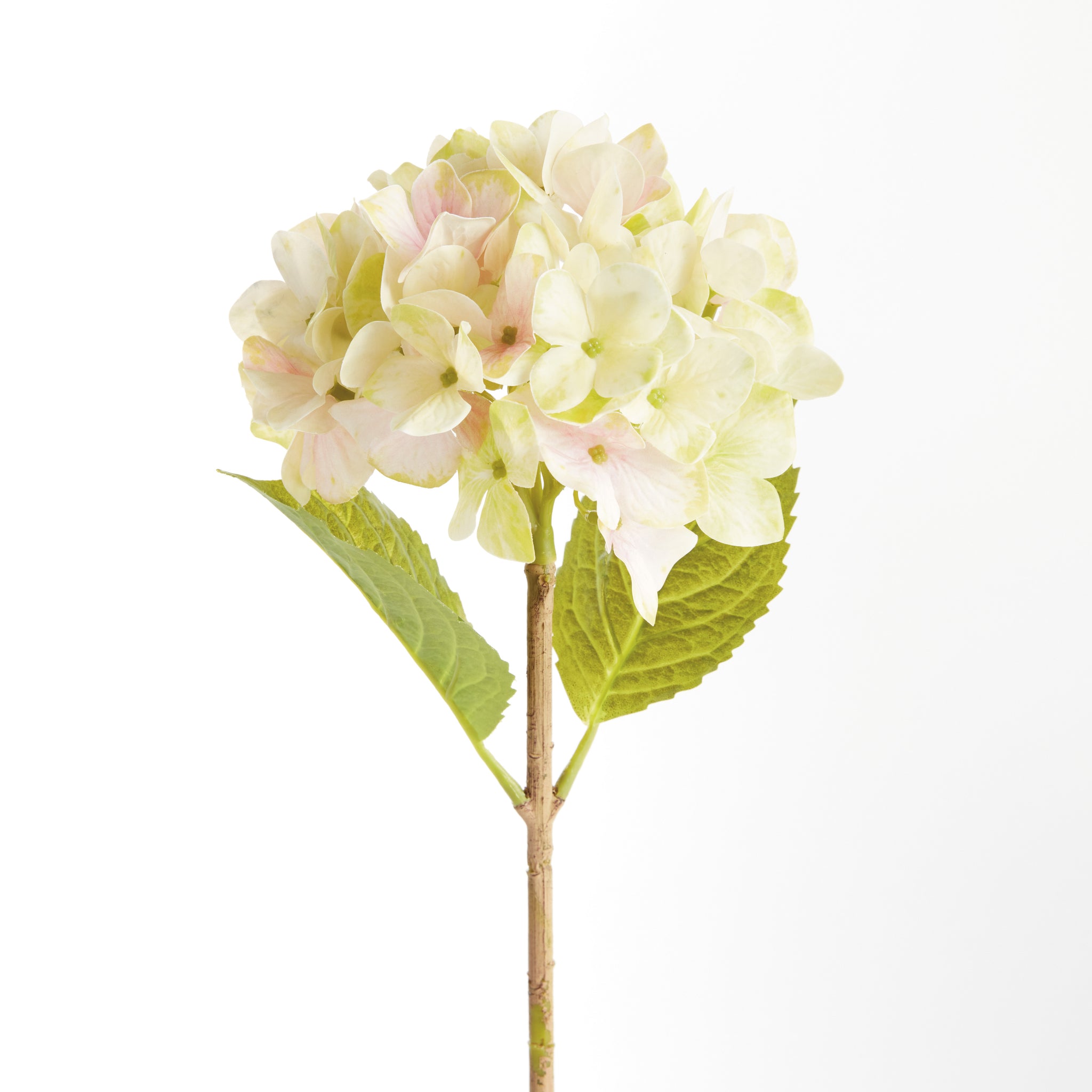 Hydrangea Stems, Set of 6