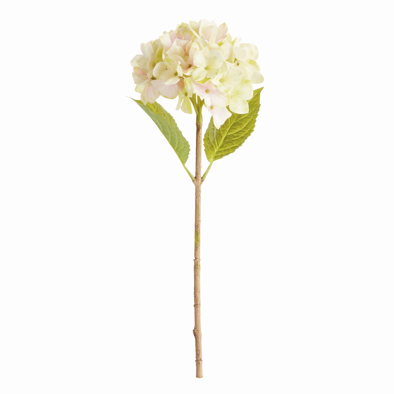 Hydrangea Stems, Set of 6