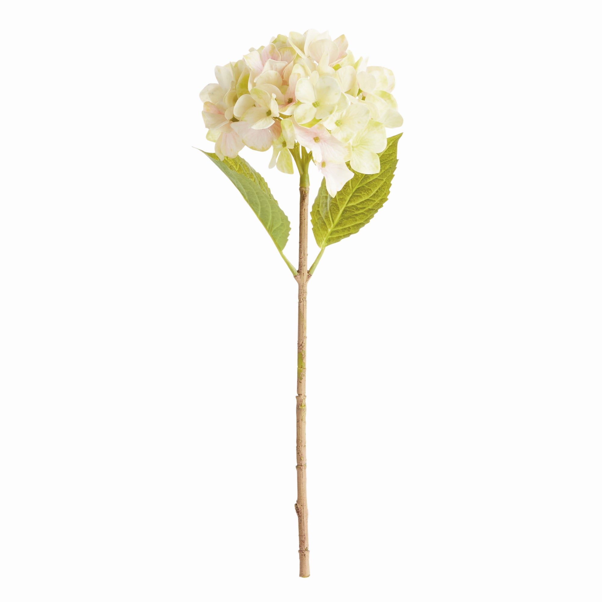 Hydrangea Stems, Set of 6