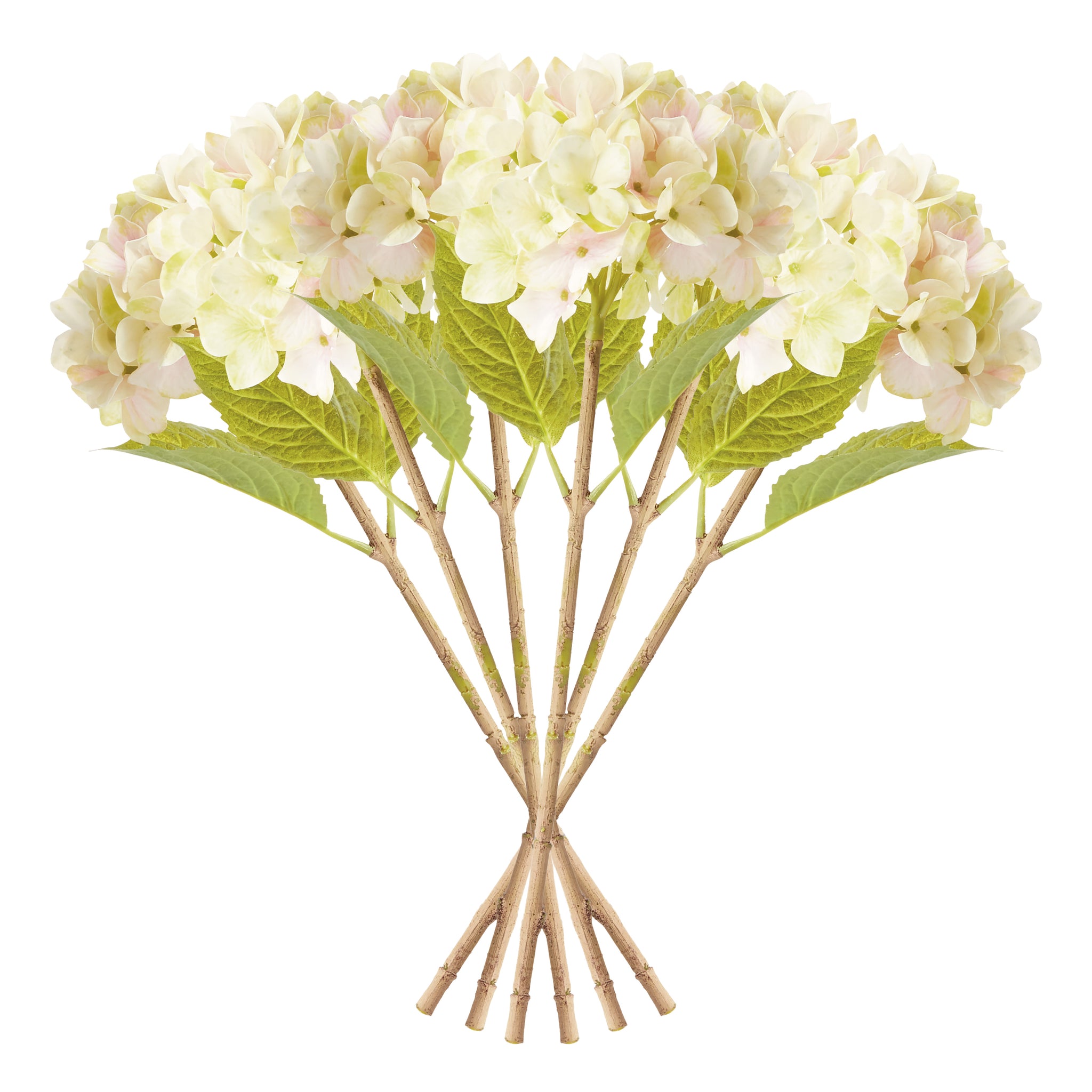 Hydrangea Stems, Set of 6