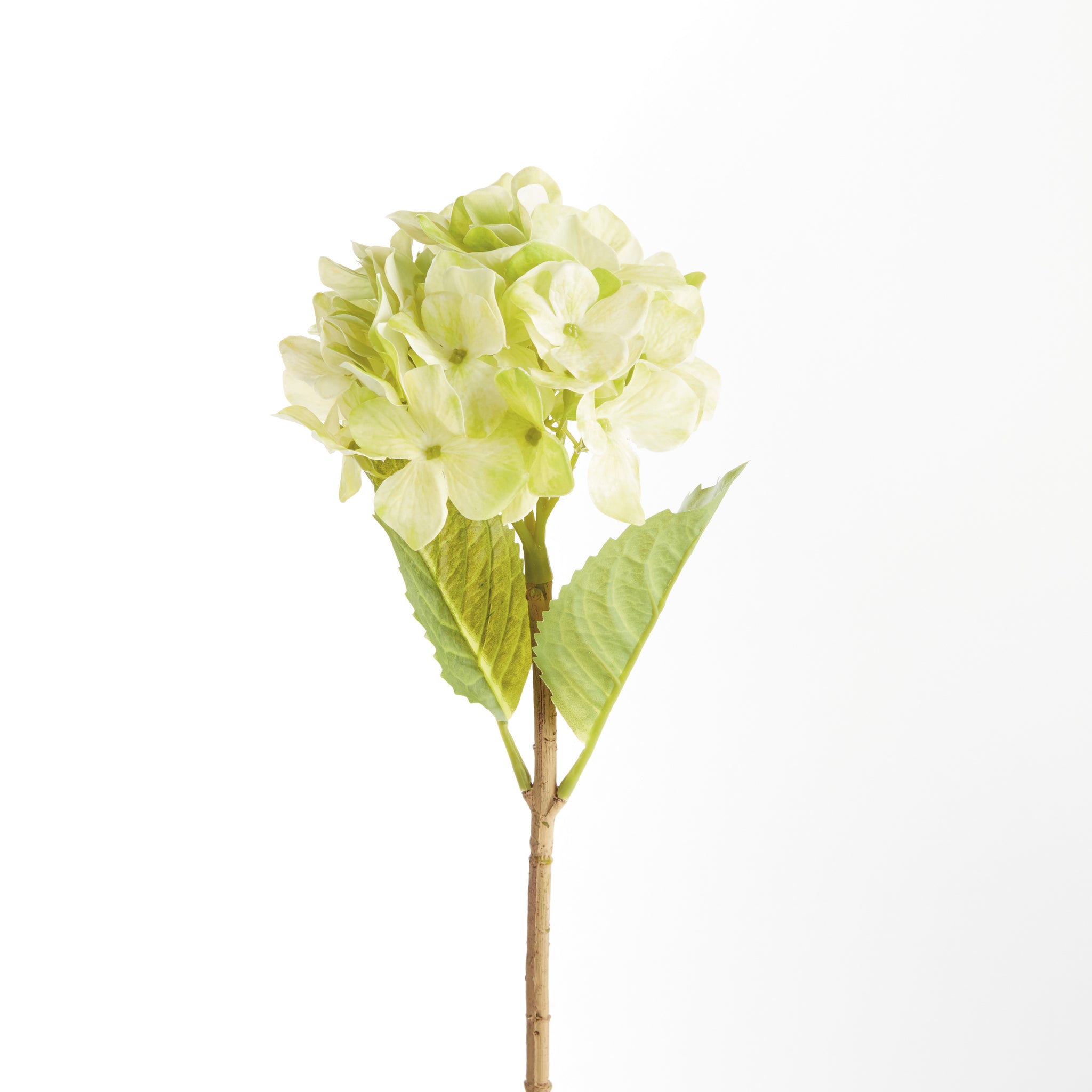 Hydrangea Stems, Set of 6
