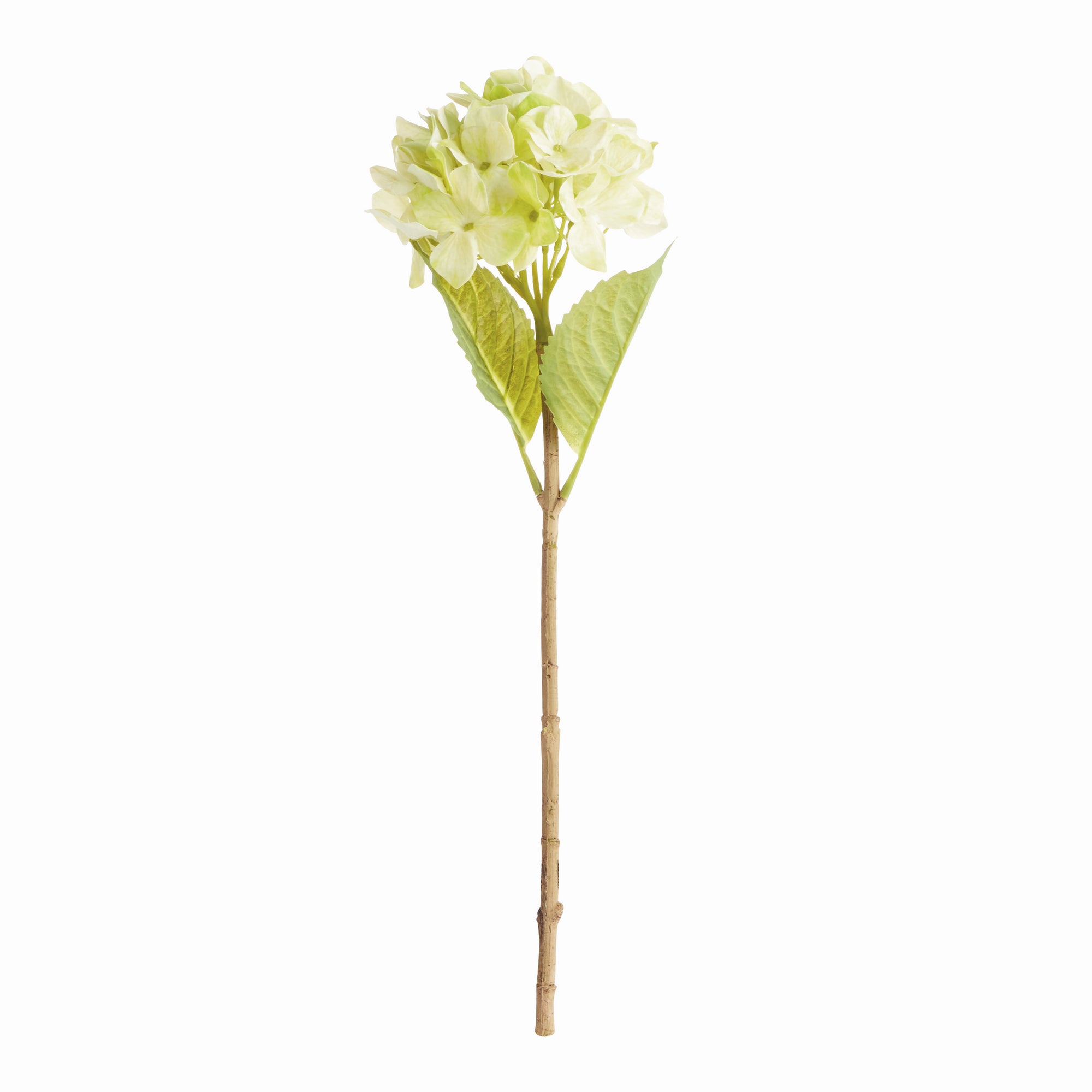 Hydrangea Stems, Set of 6