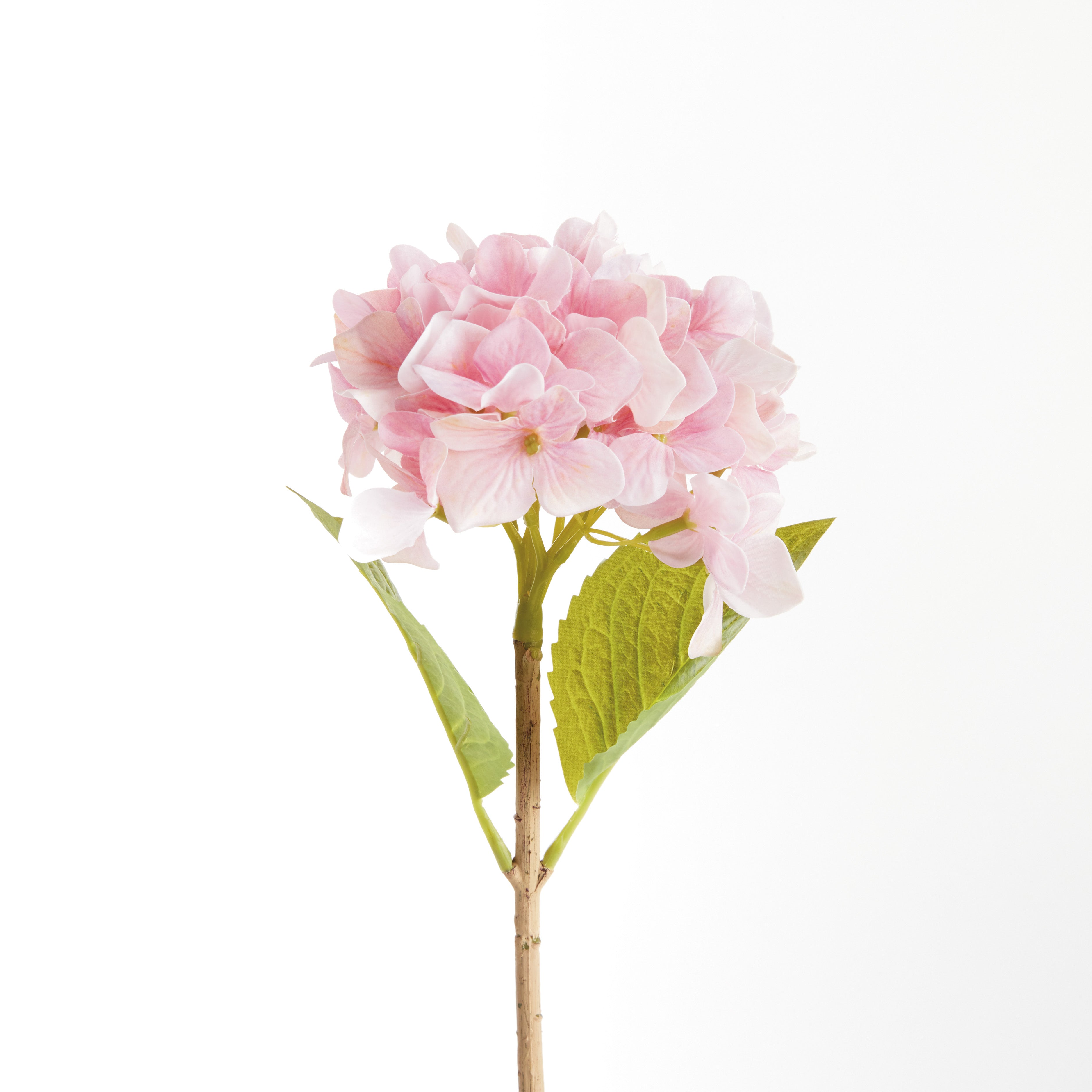 Hydrangea Stems, Set of 6