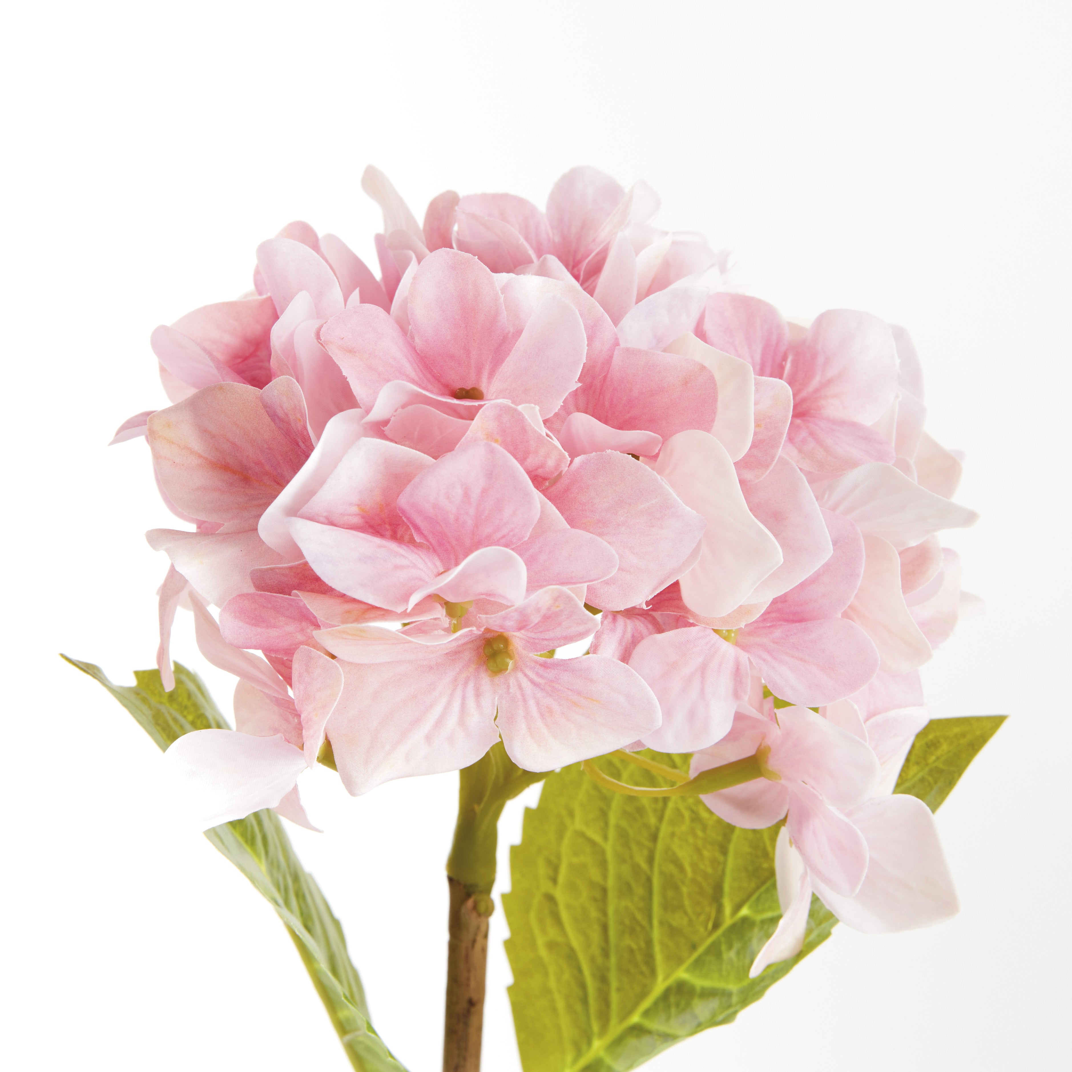Hydrangea Stems, Set of 6