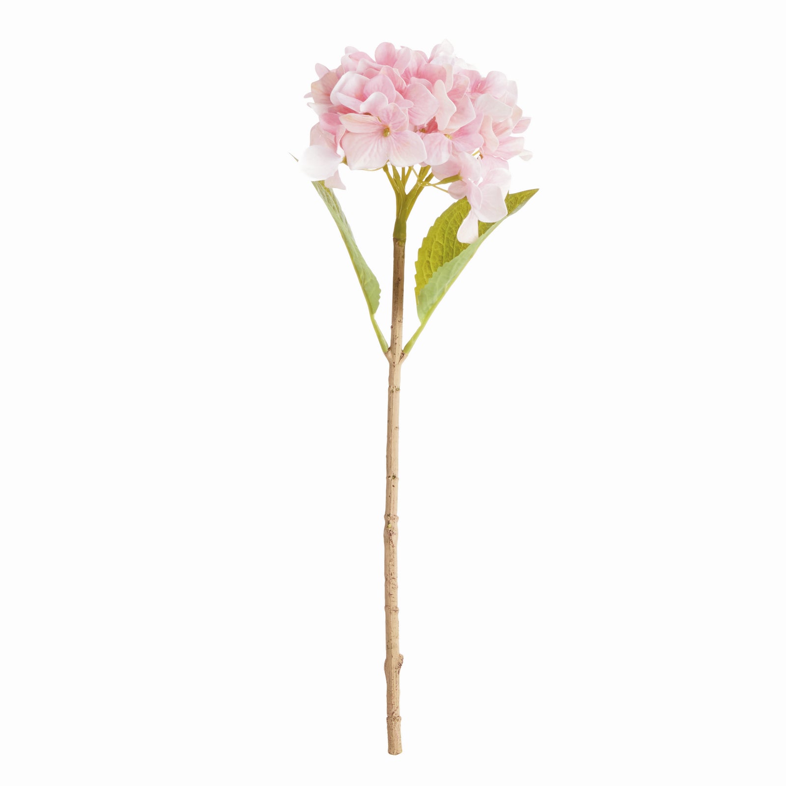 Hydrangea Stems, Set of 6