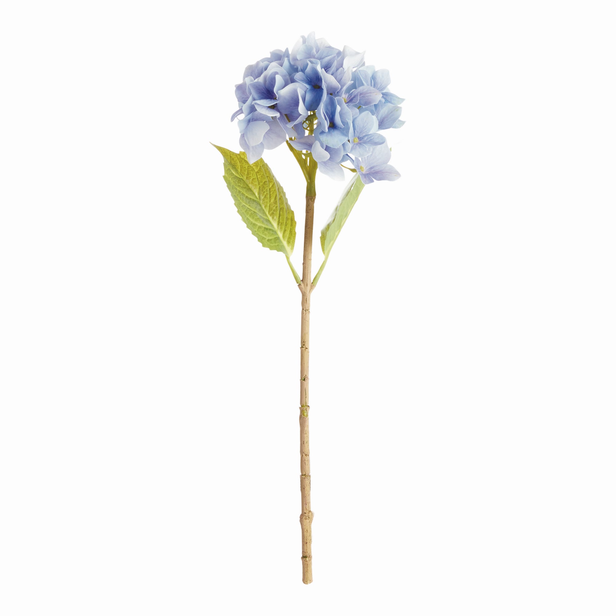 Hydrangea Stems, Set of 6