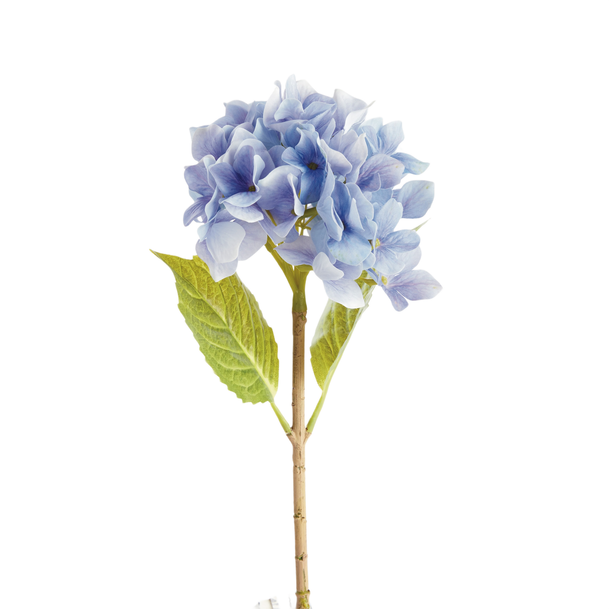 Hydrangea Stems, Set of 6