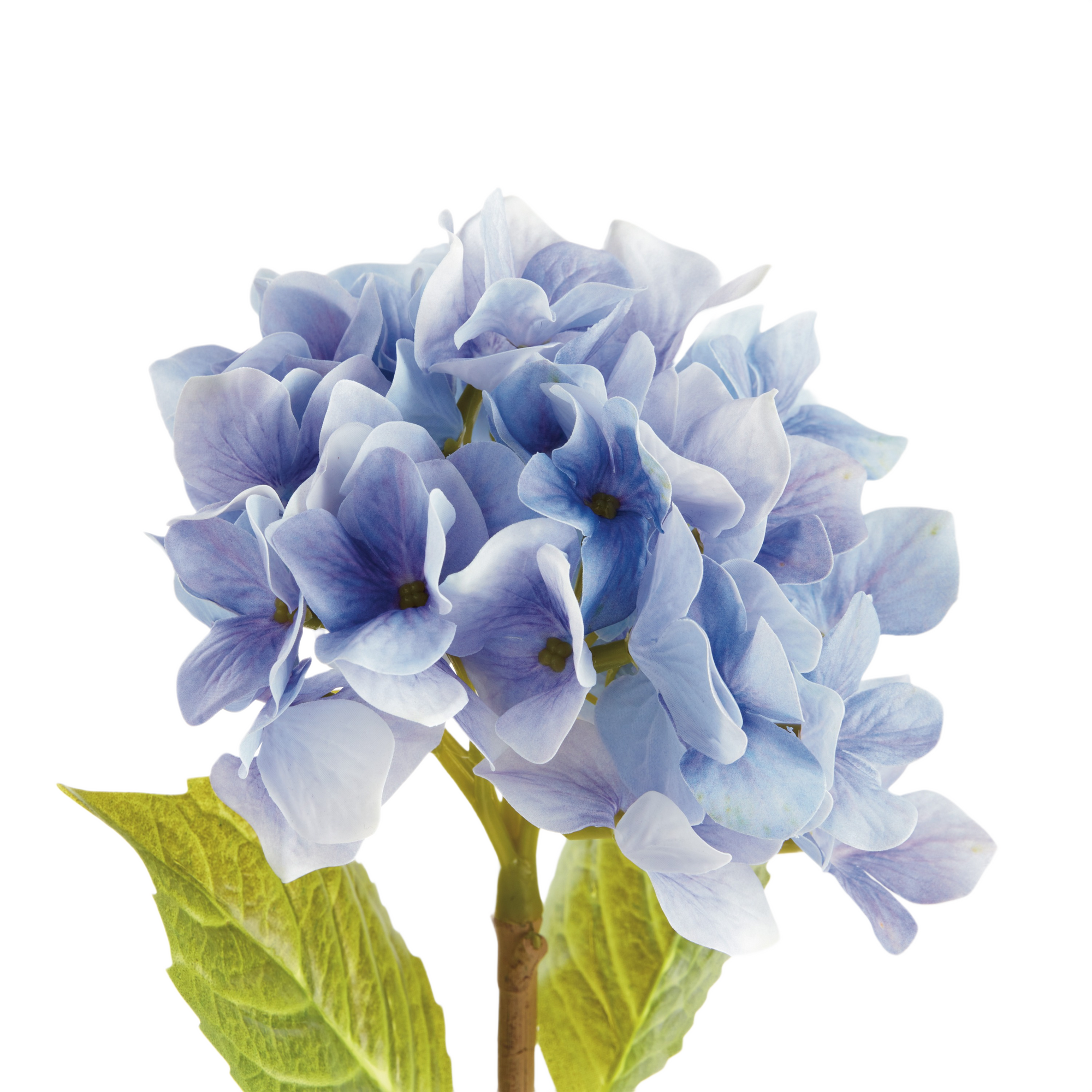Hydrangea Stems, Set of 6