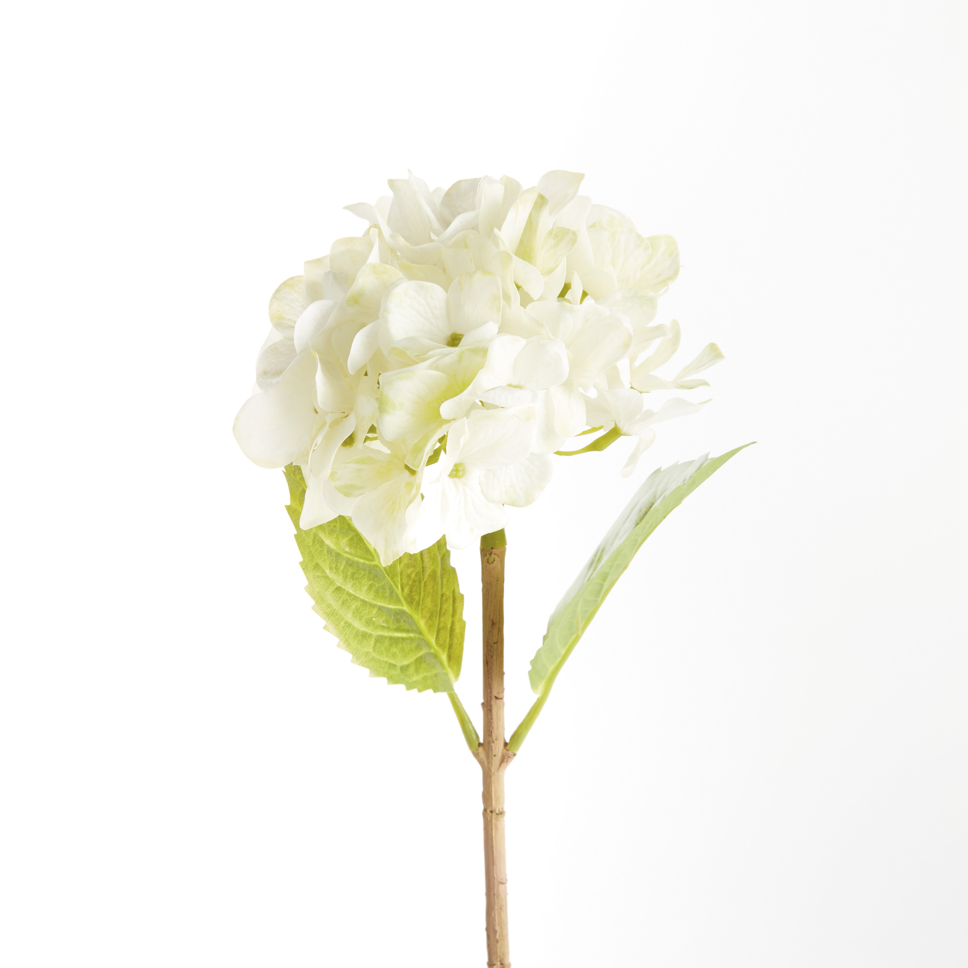 Hydrangea Stems, Set of 6