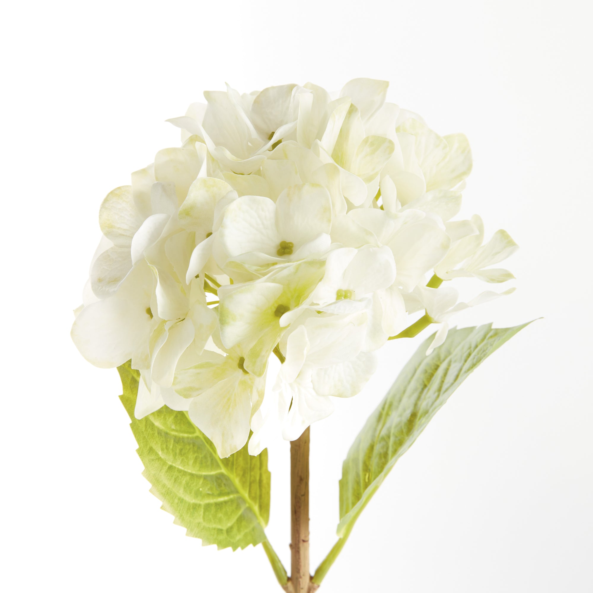 Hydrangea Stems, Set of 6