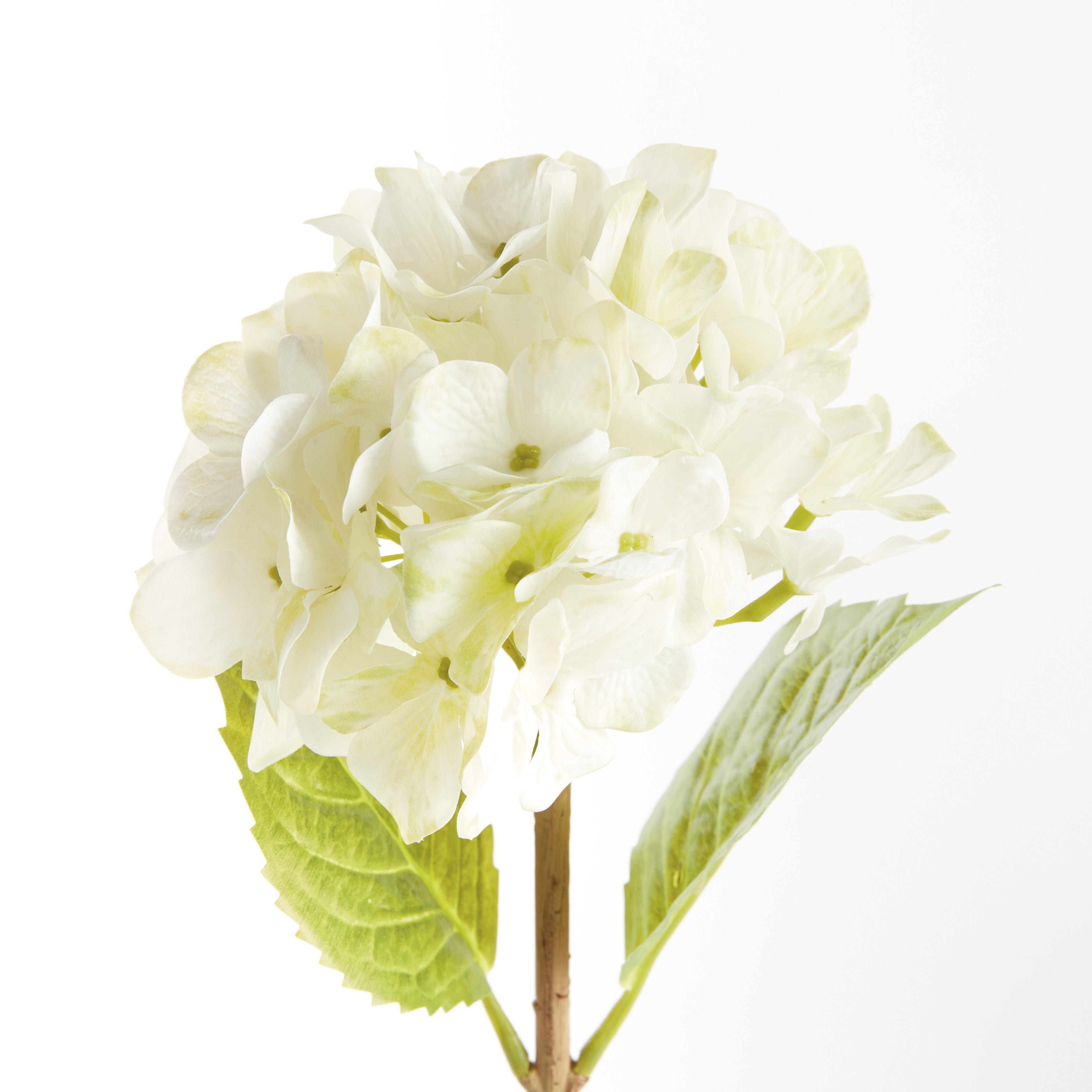 Hydrangea Stems, Set of 6