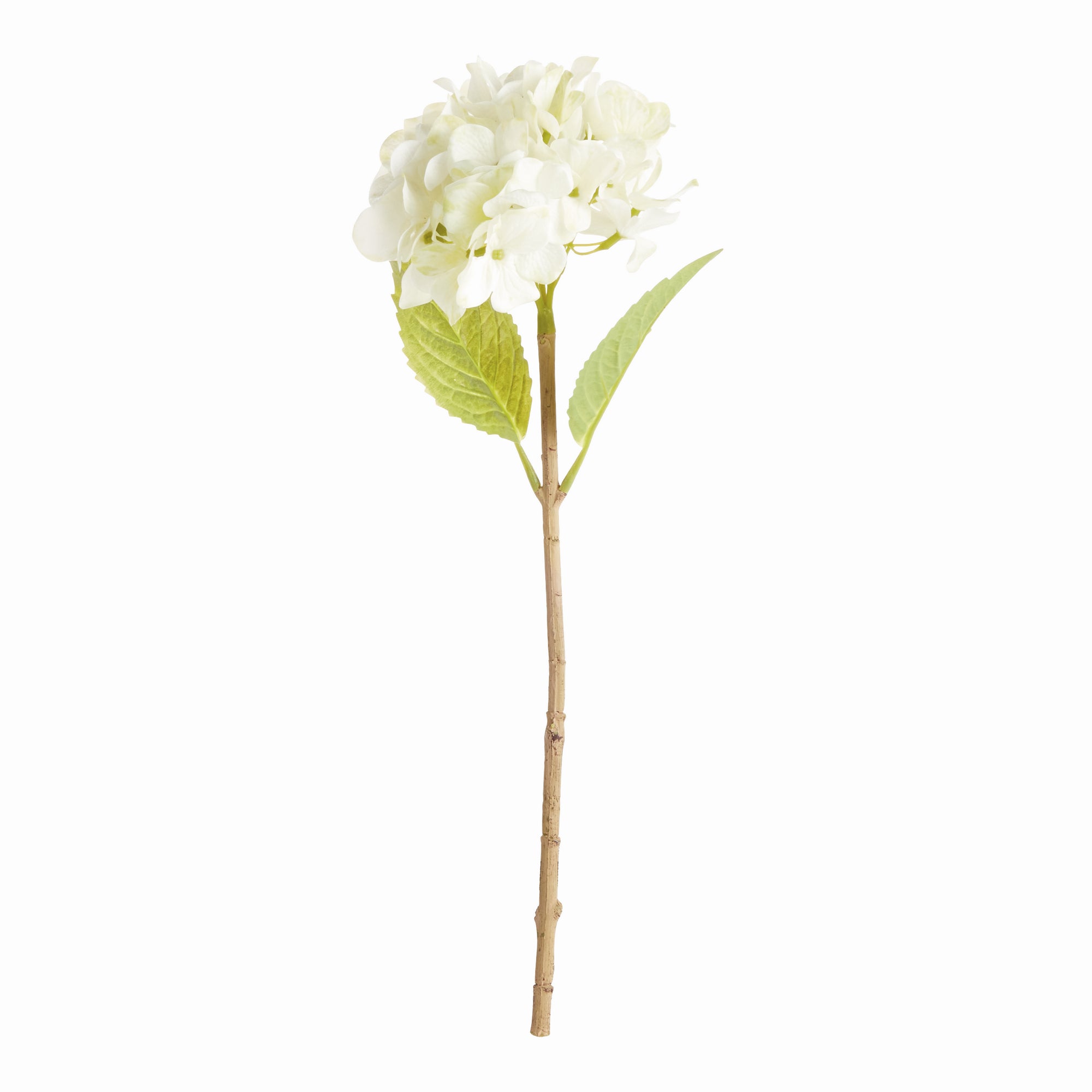 Hydrangea Stems, Set of 6