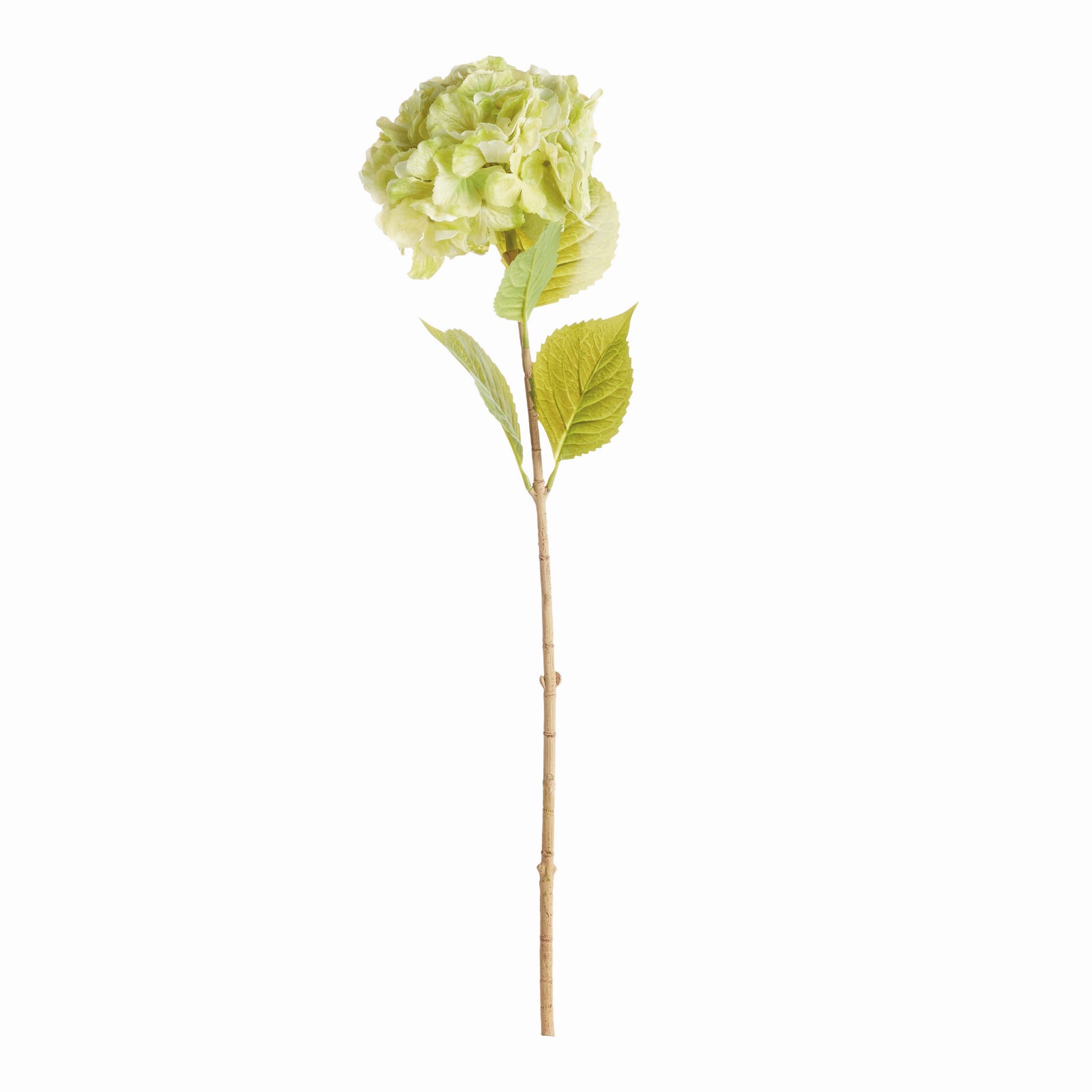 Bigleaf Hydrangea Stems, Set of 4