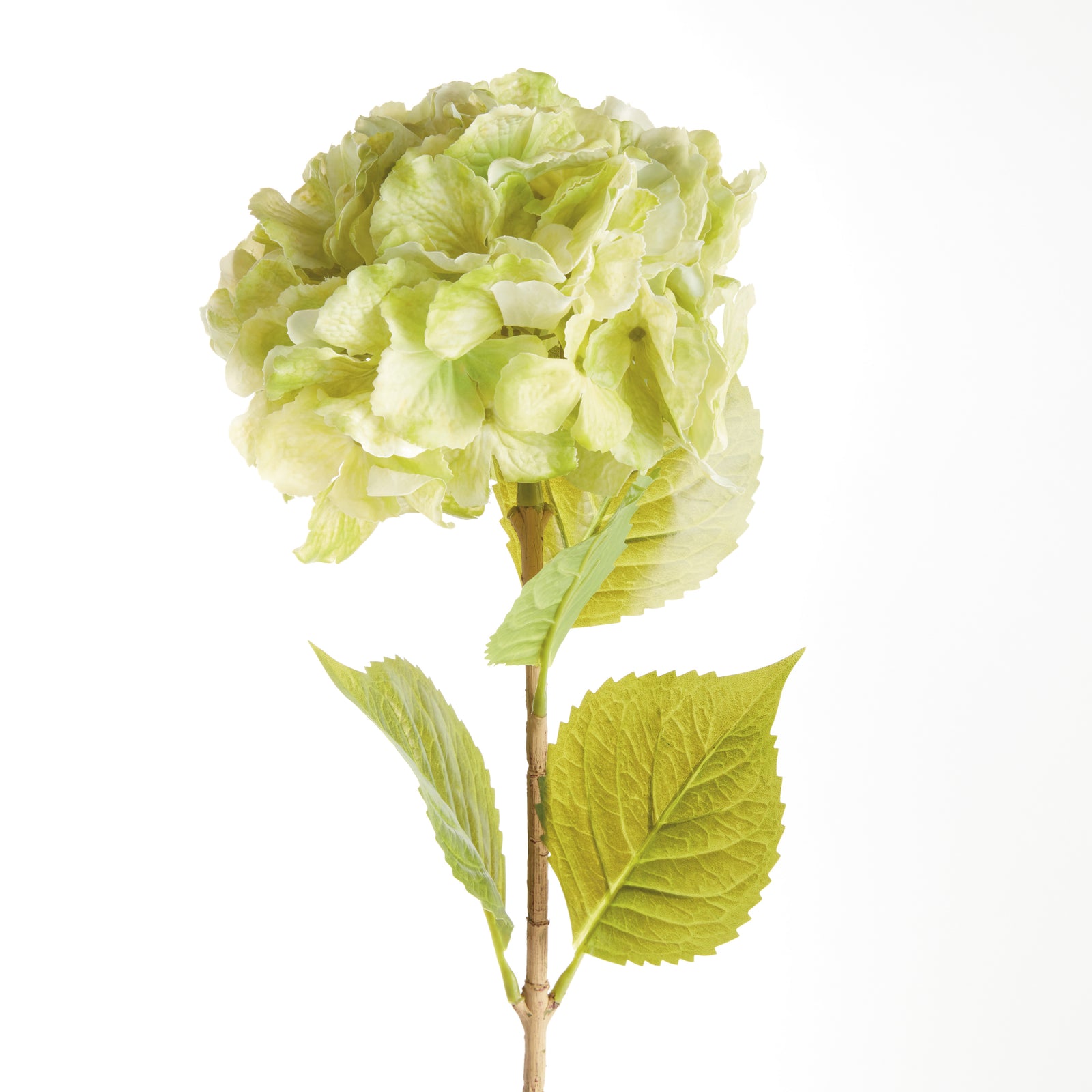 Bigleaf Hydrangea Stems, Set of 4