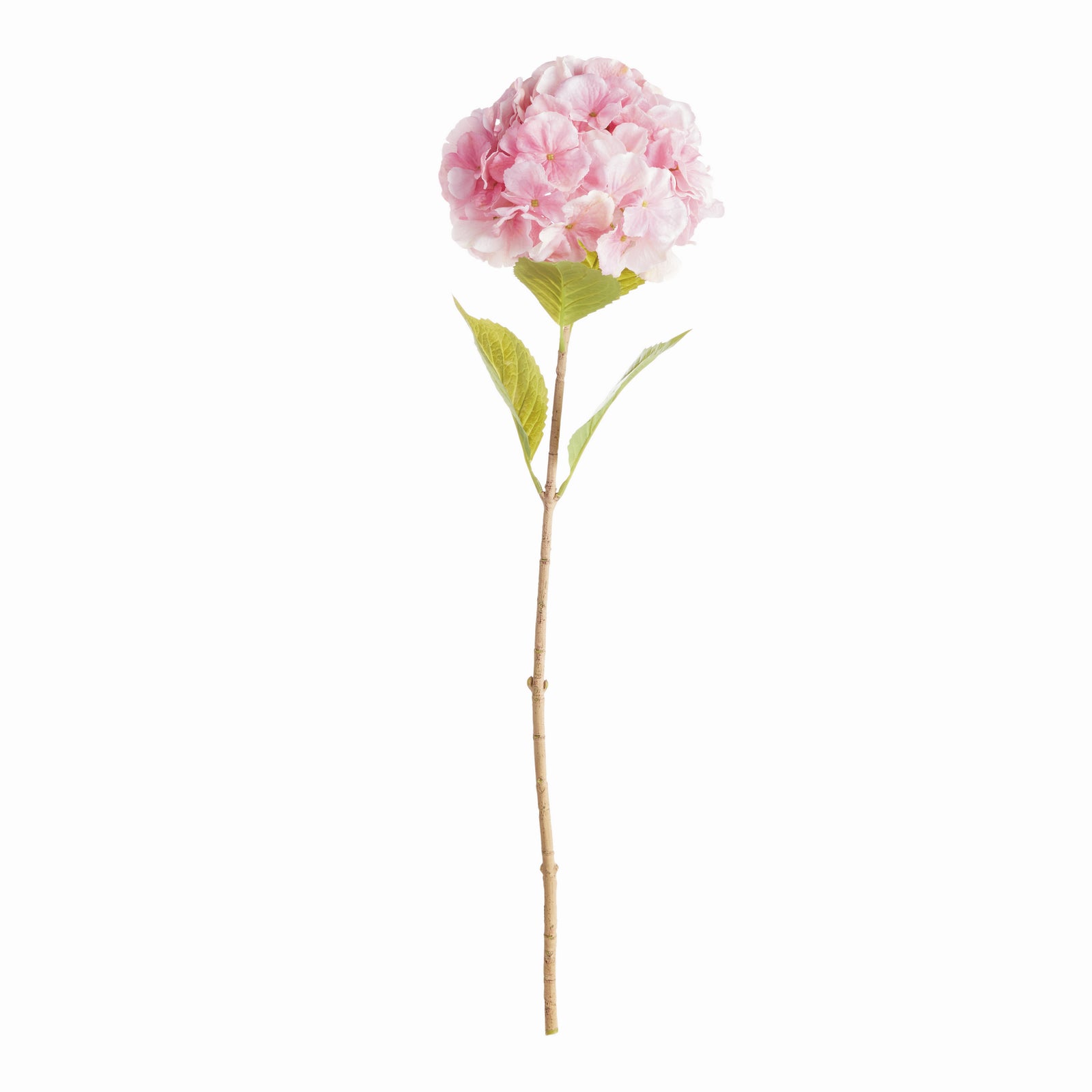 Bigleaf Hydrangea Stems, Set of 4