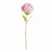 Bigleaf Hydrangea Stems, Set of 4