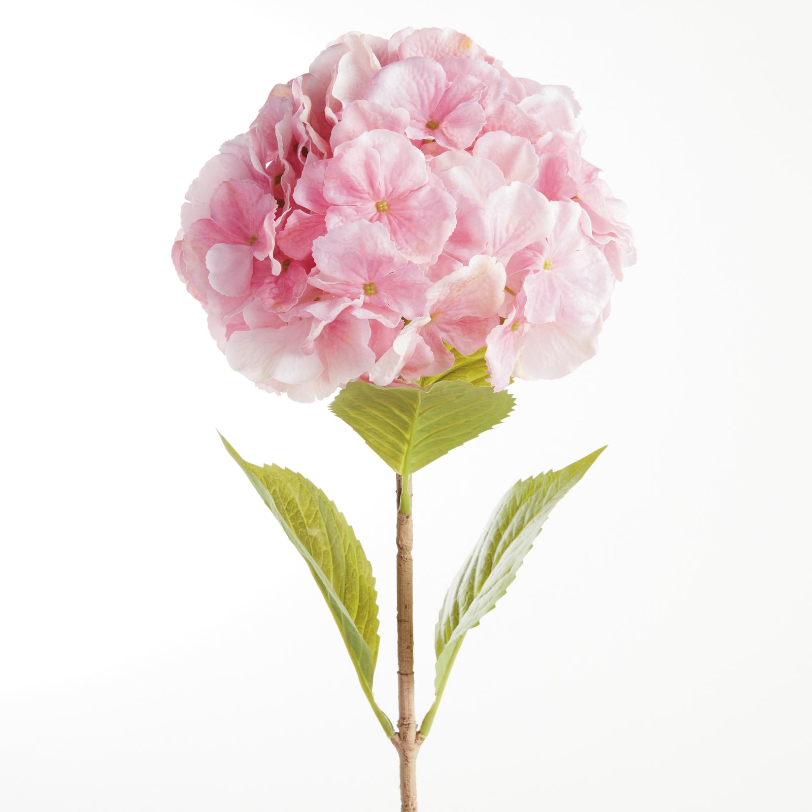 Bigleaf Hydrangea Stems, Set of 4