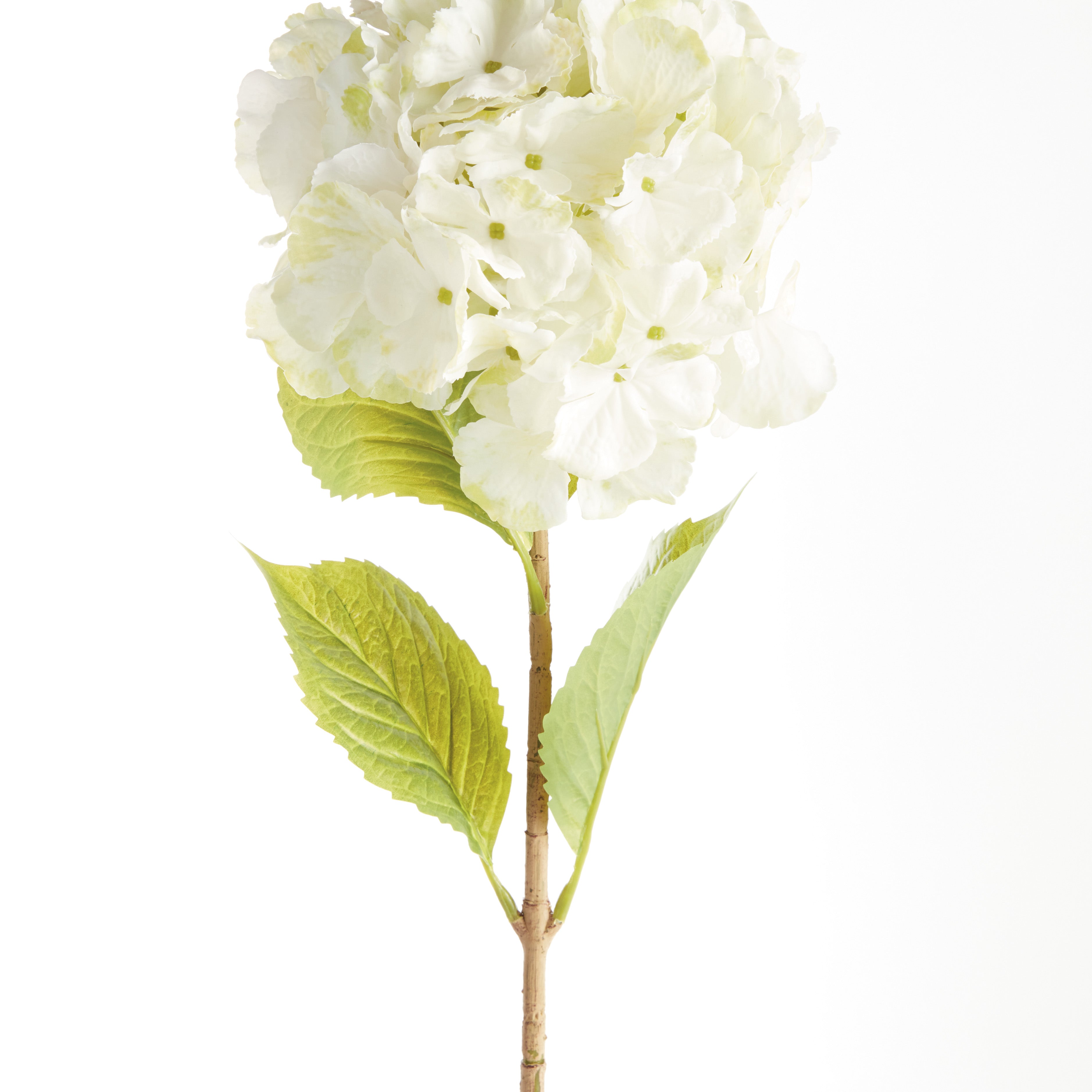 Bigleaf Hydrangea Stems, Set of 4