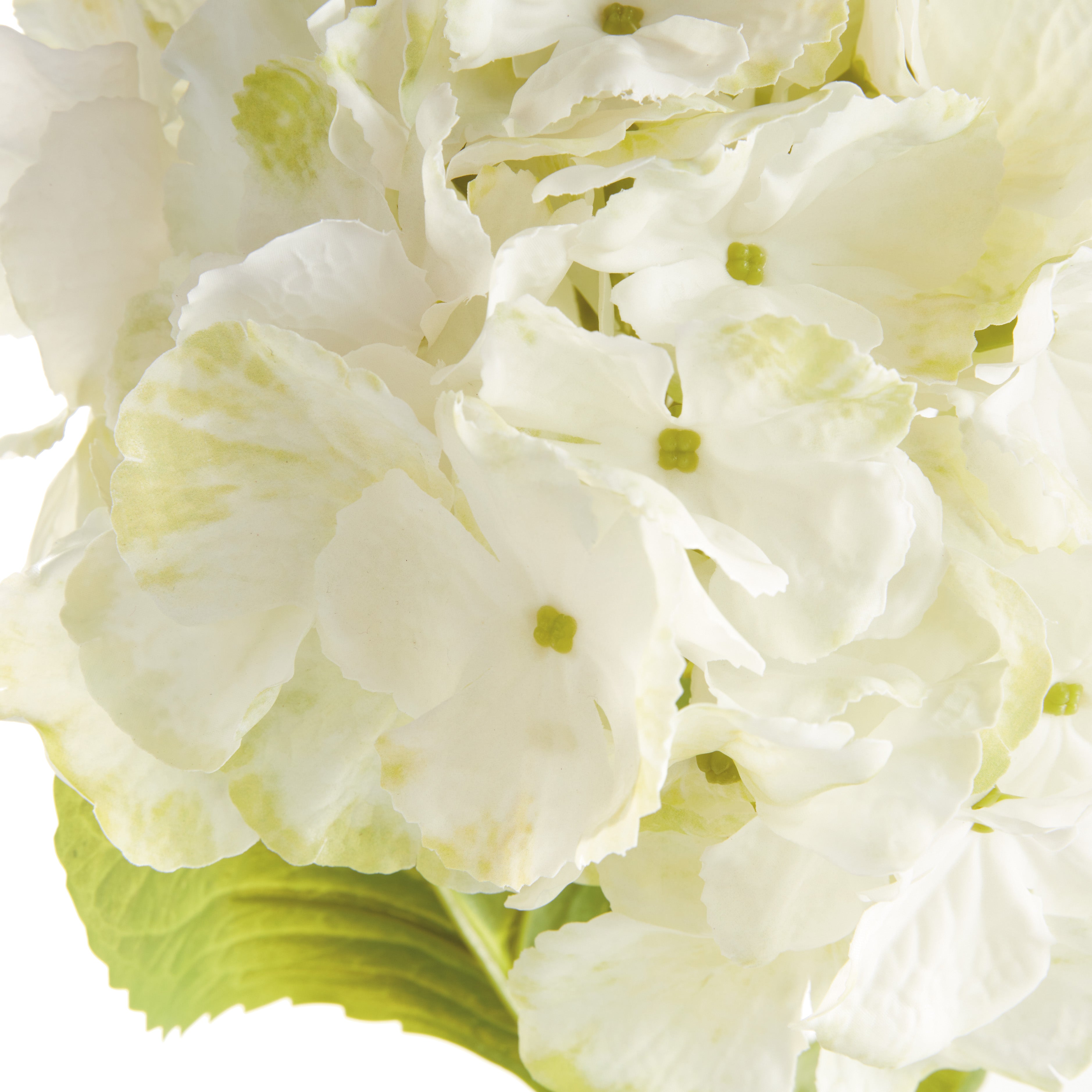 Bigleaf Hydrangea Stems, Set of 4