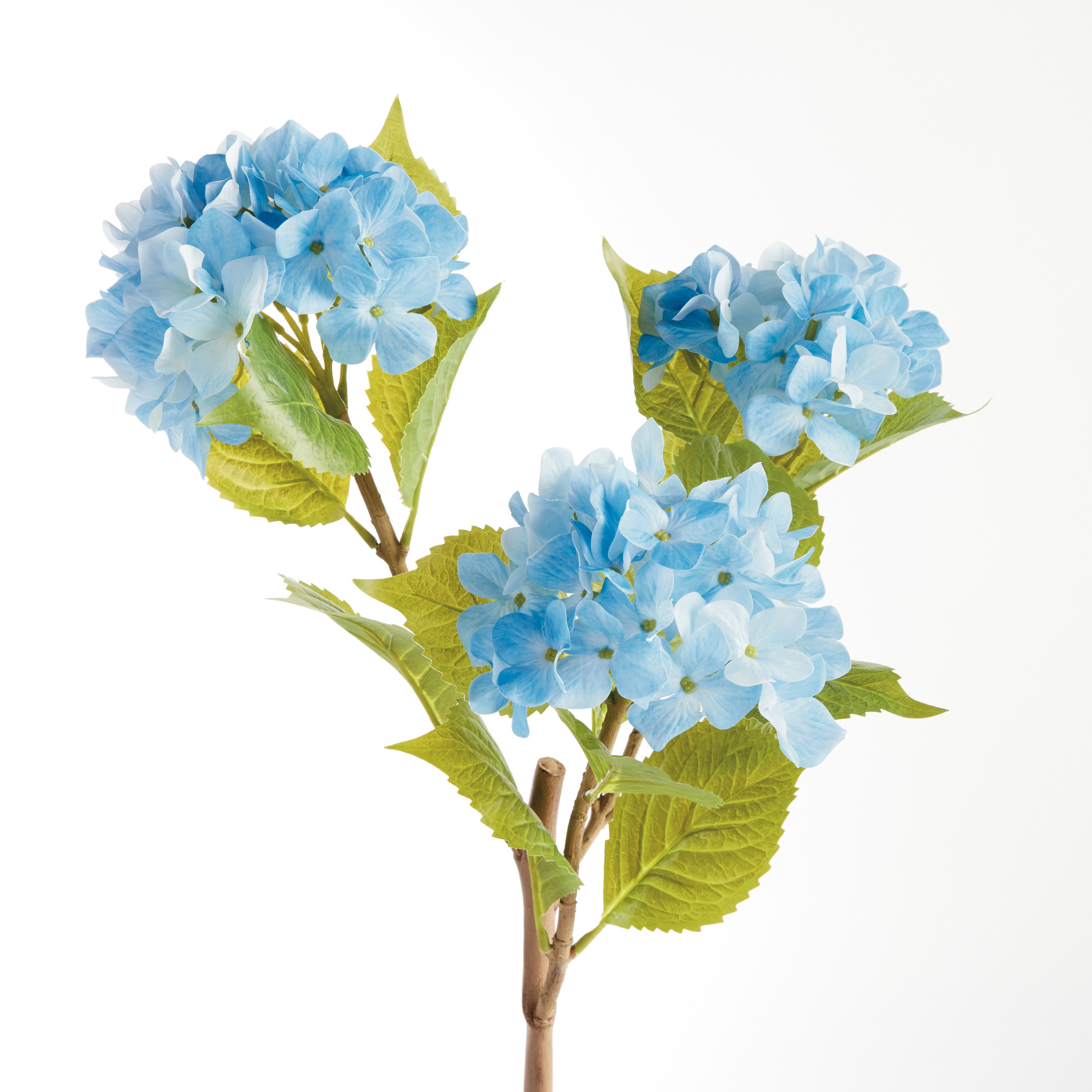 Hydrangea Branches, Set of 2