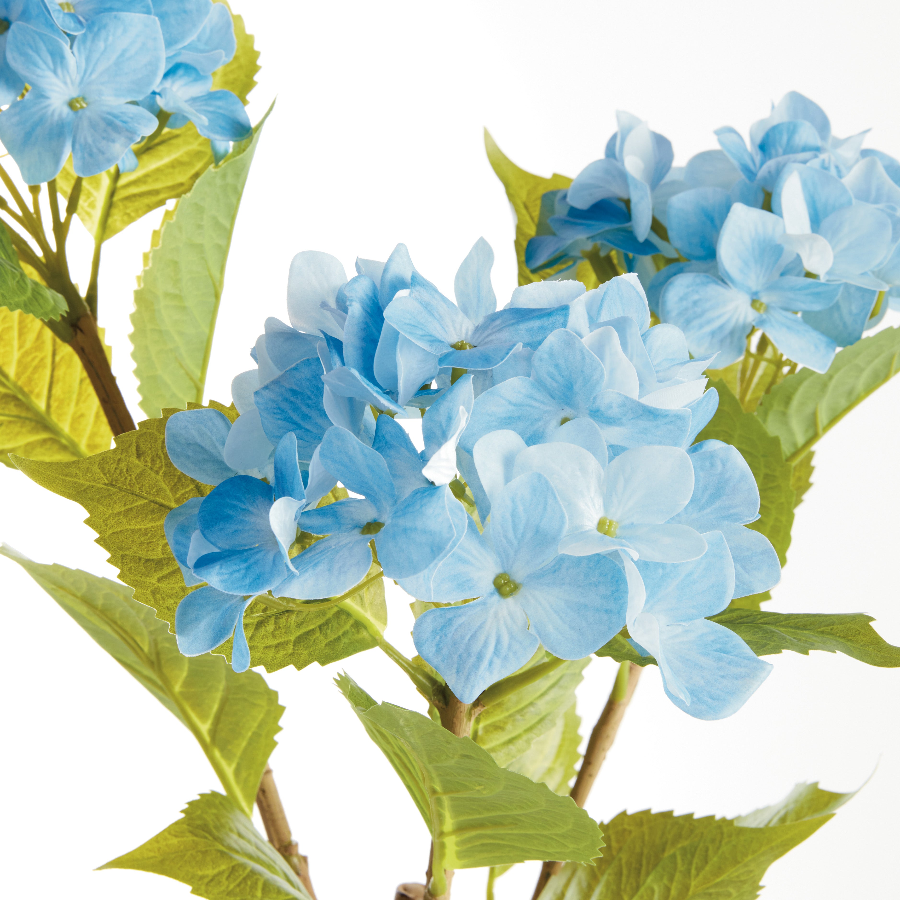 Hydrangea Branches, Set of 2