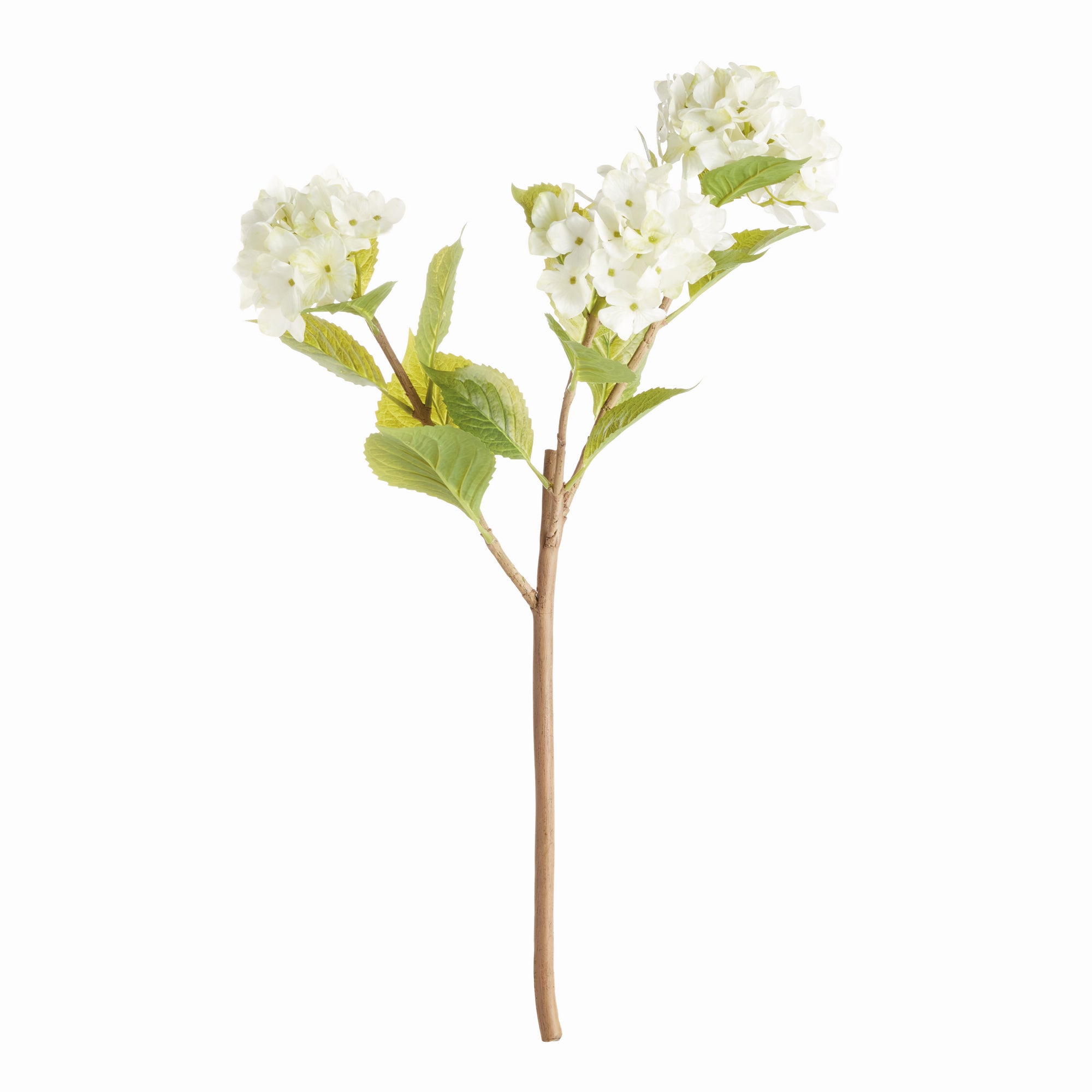 White Hydrangea Branches, Set of 2