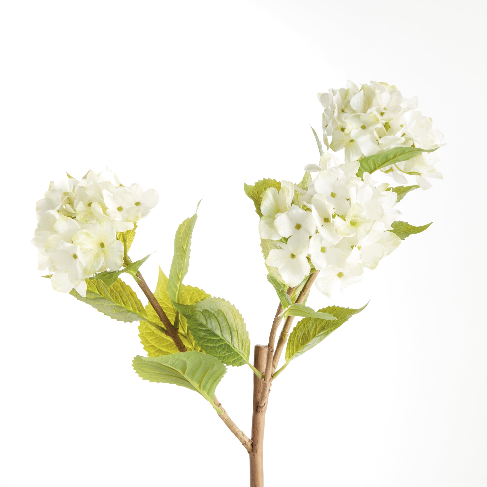 White Hydrangea Branches, Set of 2