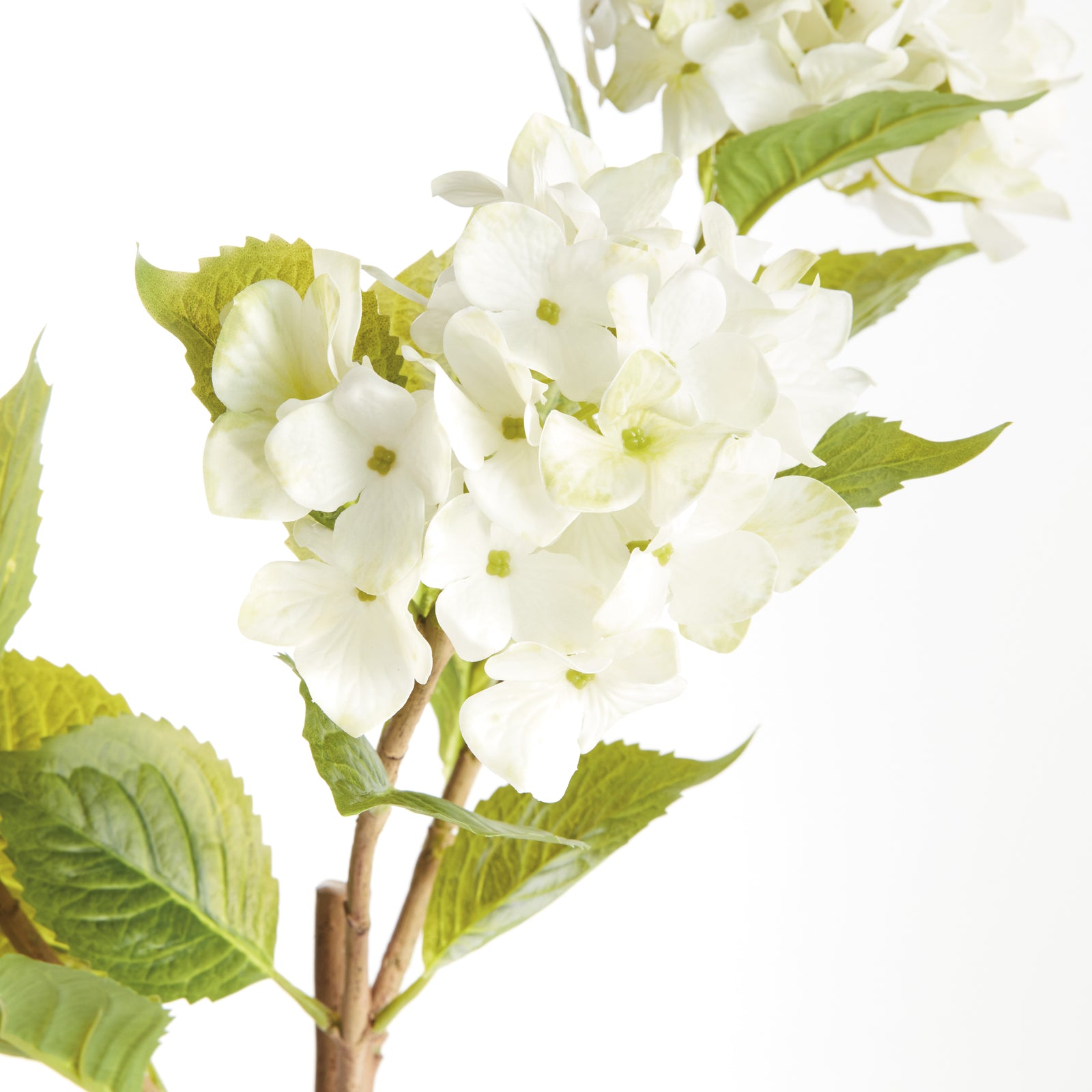 White Hydrangea Branches, Set of 2