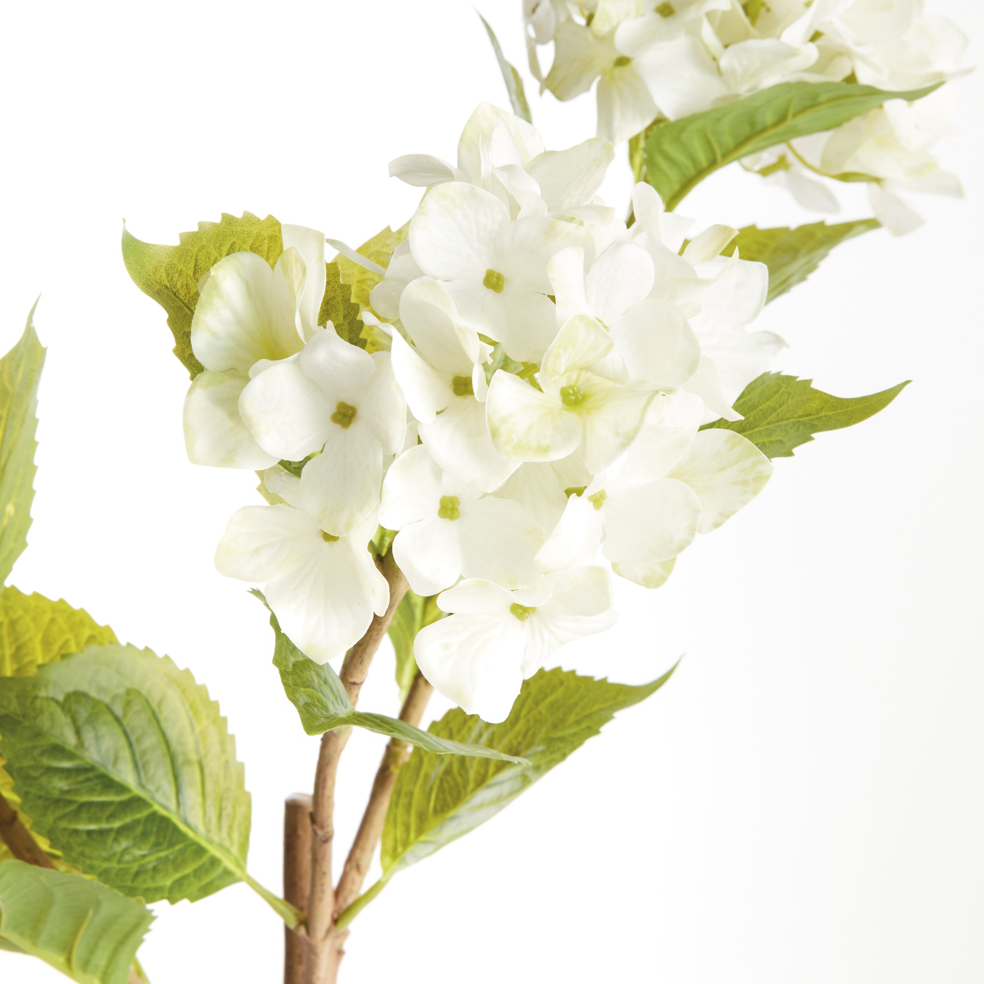 White Hydrangea Branches, Set of 2
