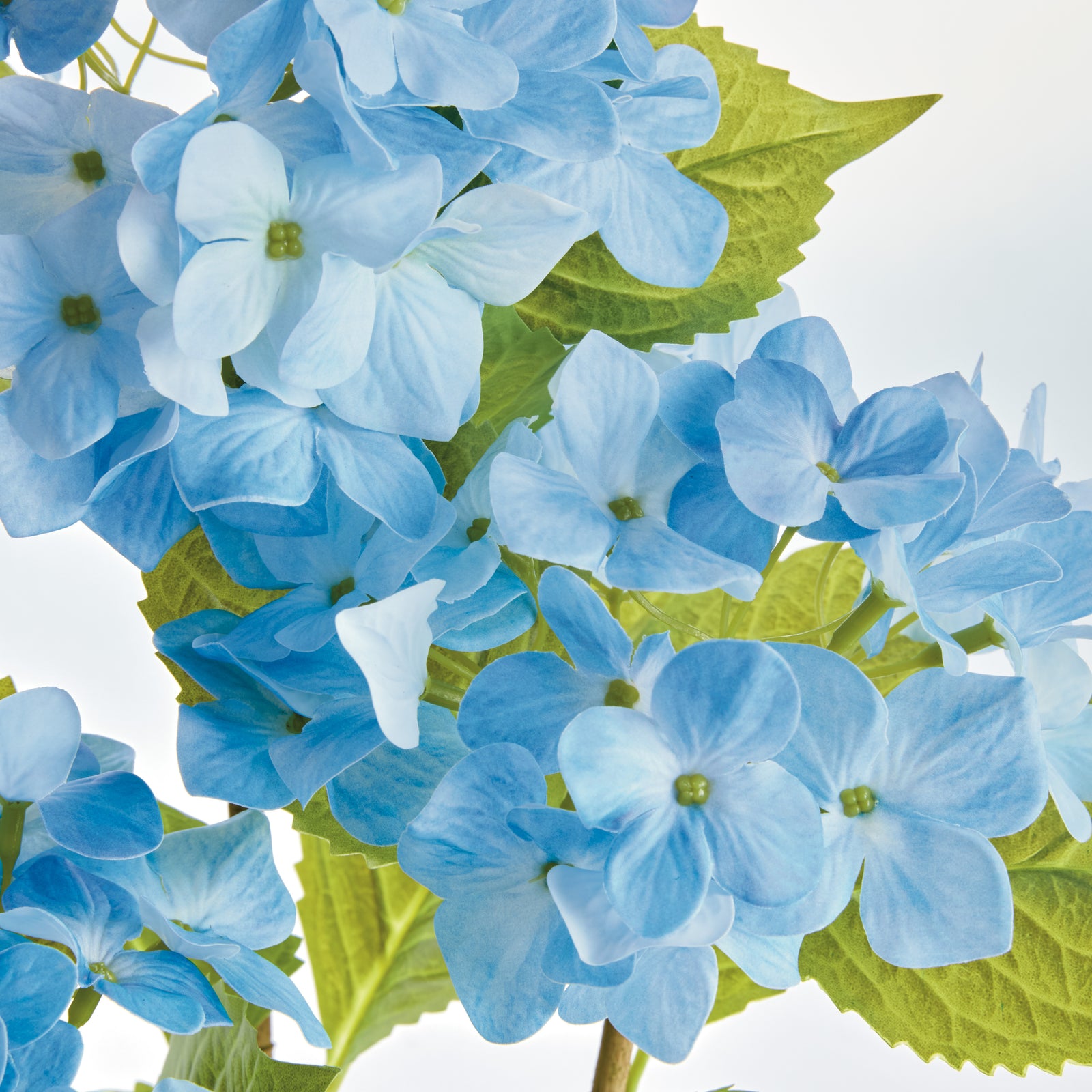 Light Blue Hydrangea Drop-in