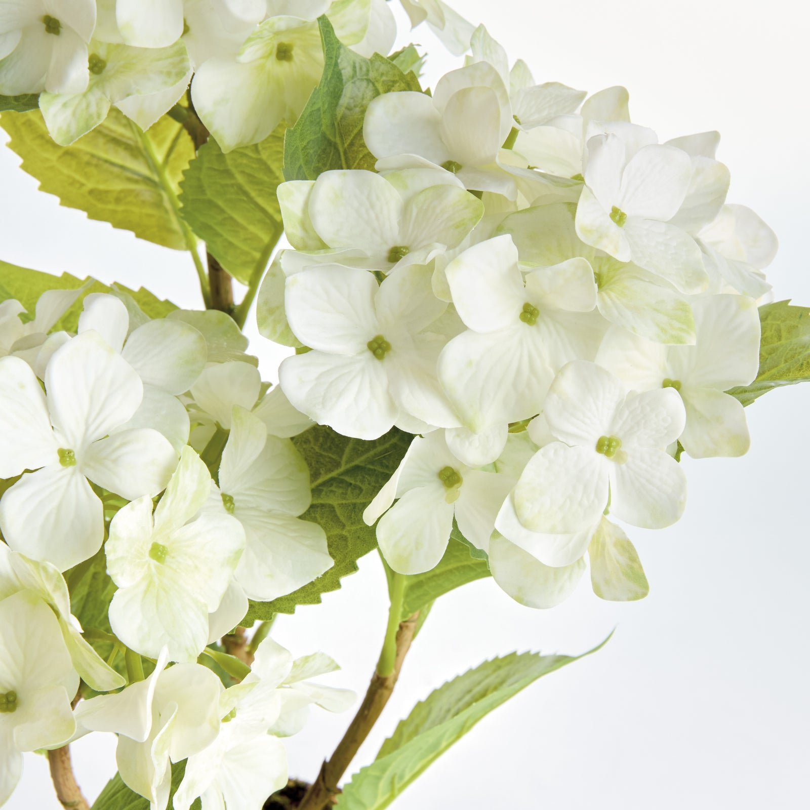 White Hydrangea Drop-in