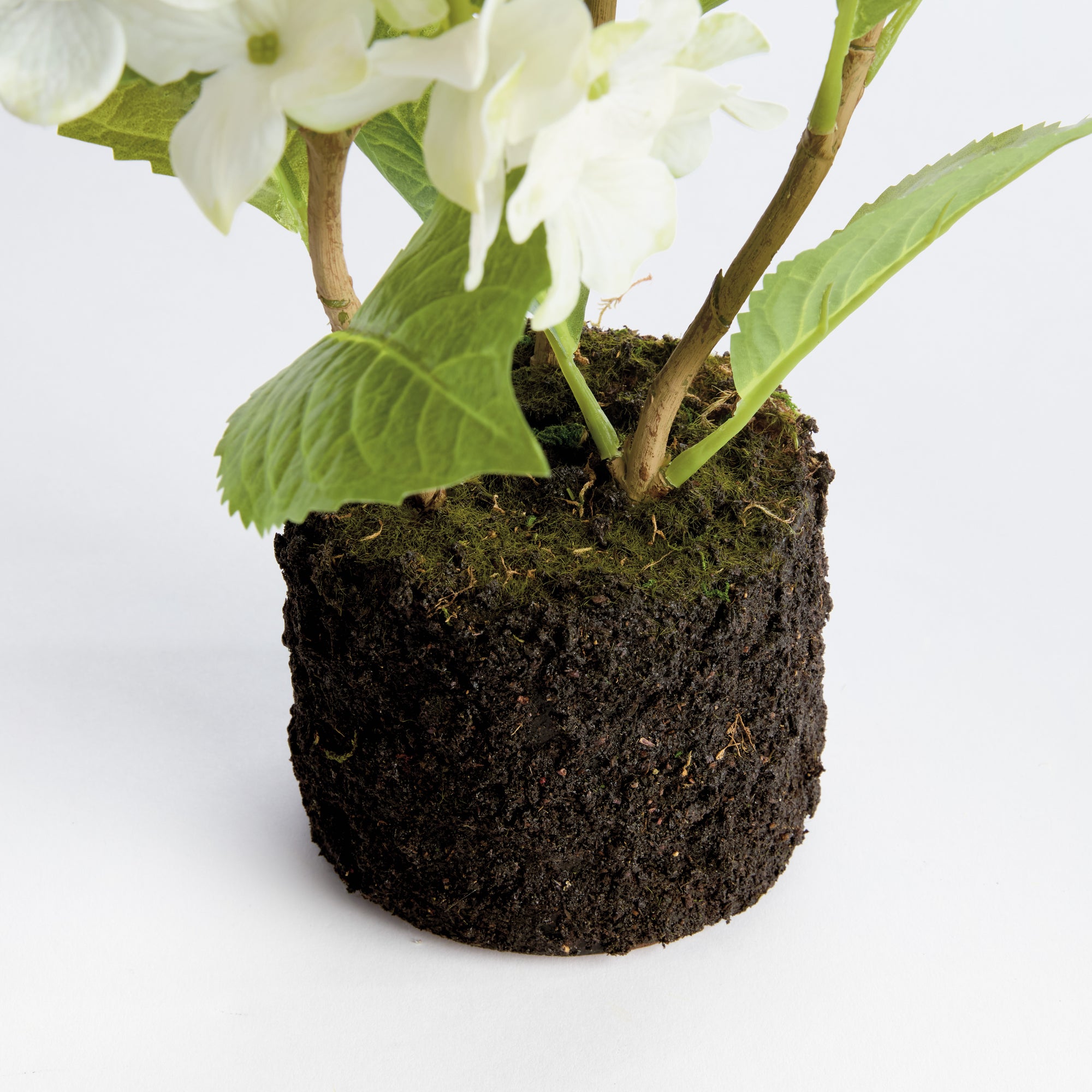 White Hydrangea Drop-in