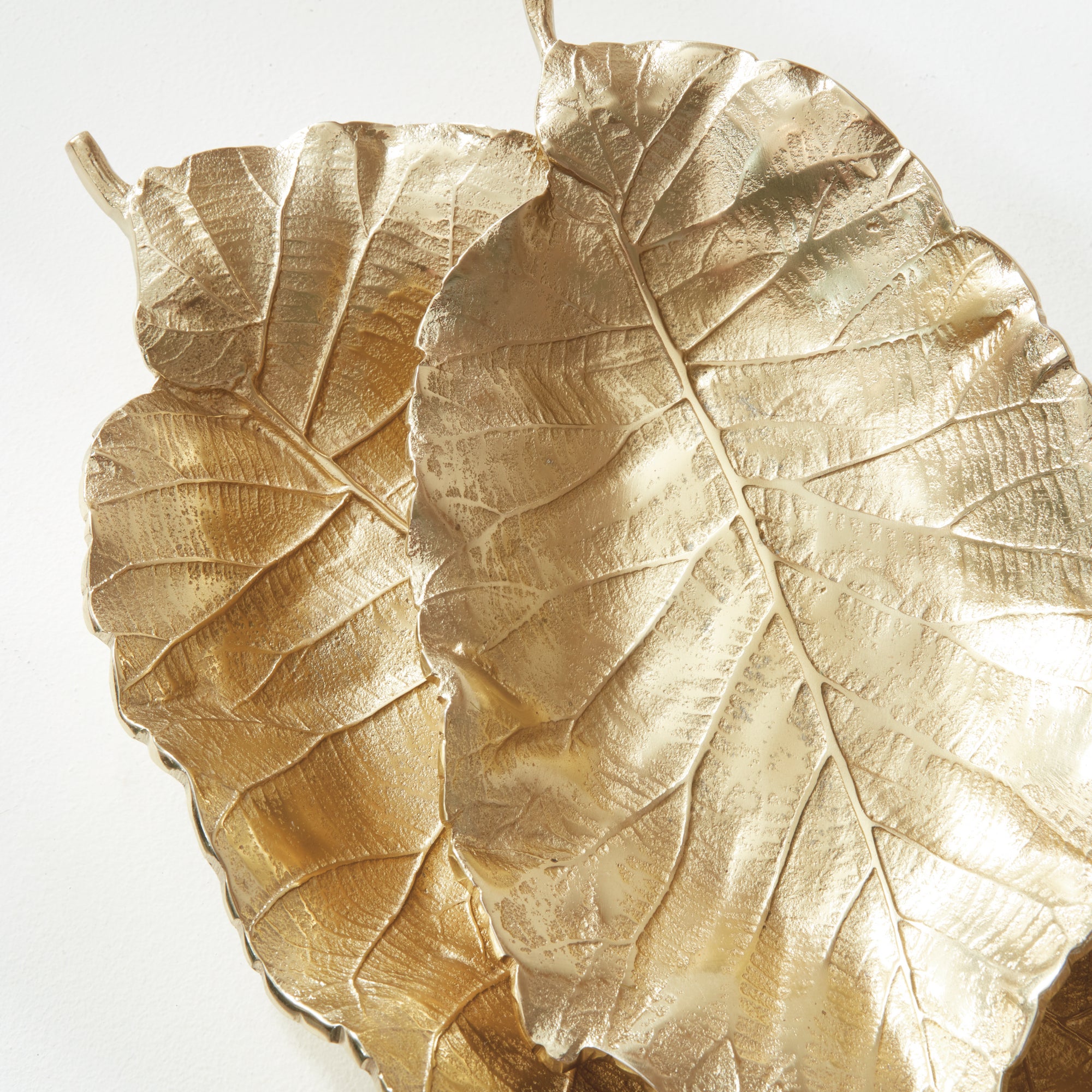 Alera Grand Leaf Tray