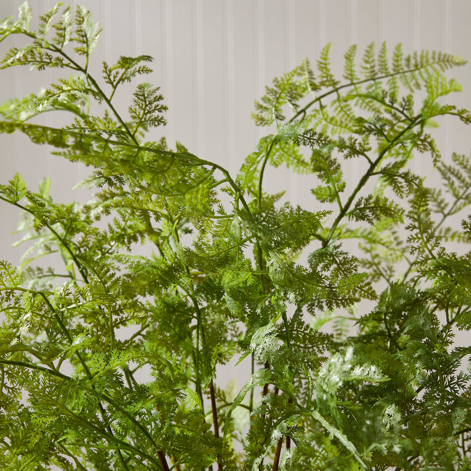 Myla Fern Drop-In 36"