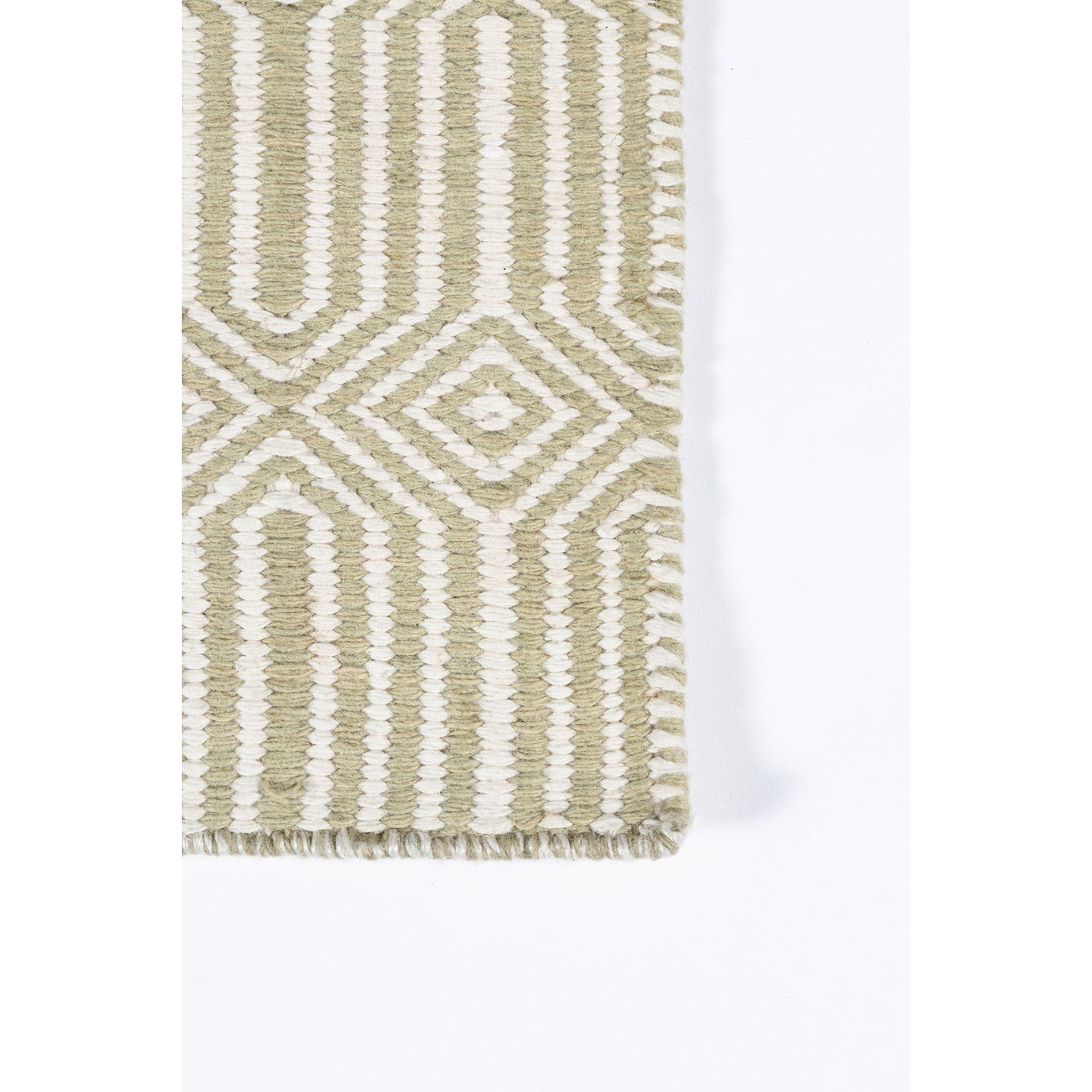 Erin Gates by Momeni Newton Holden Green Hand Woven Recycled Plastic Indoor Outdoor Rug