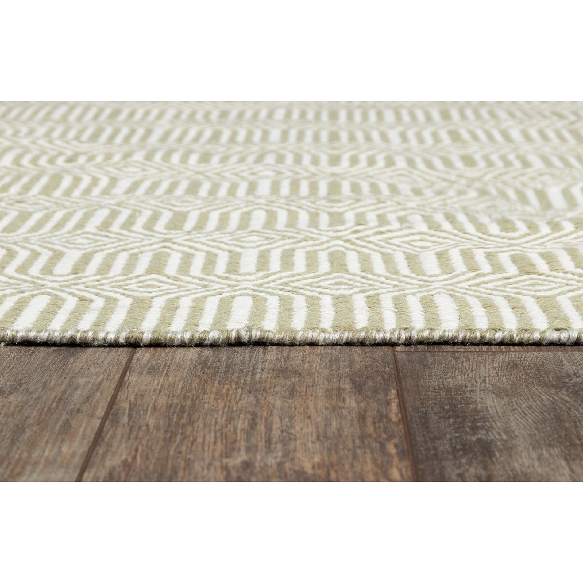 Erin Gates by Momeni Newton Holden Green Hand Woven Recycled Plastic Indoor Outdoor Rug